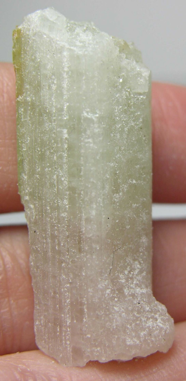 52.40ct Brazil 100% Natural Bi-Color Tourmaline Crystal Specimen 10.50g 37.00mm