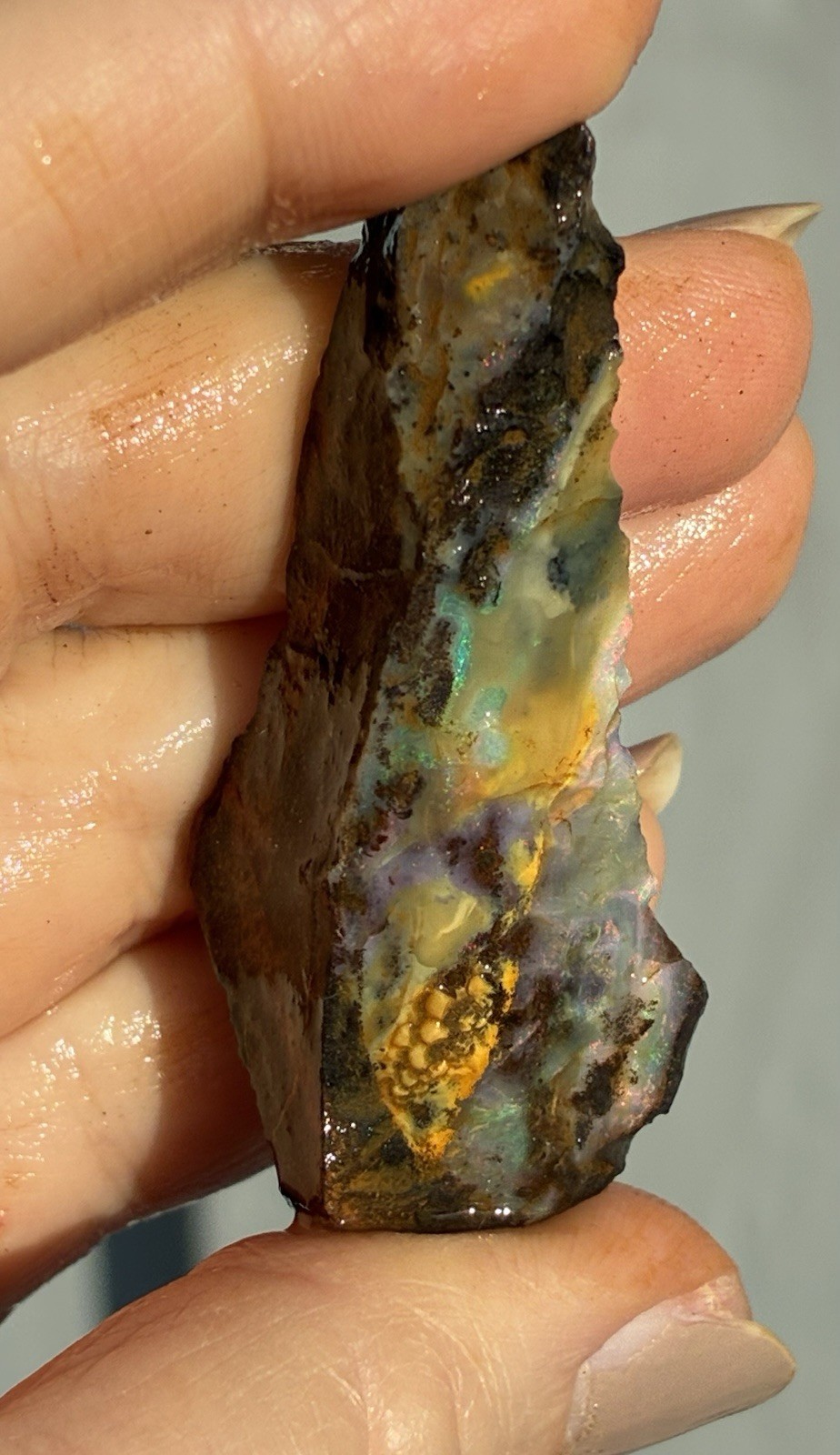 Beautiful 89ct Large Australian Boulder Opal Rough Loose Multicolor Specimen J