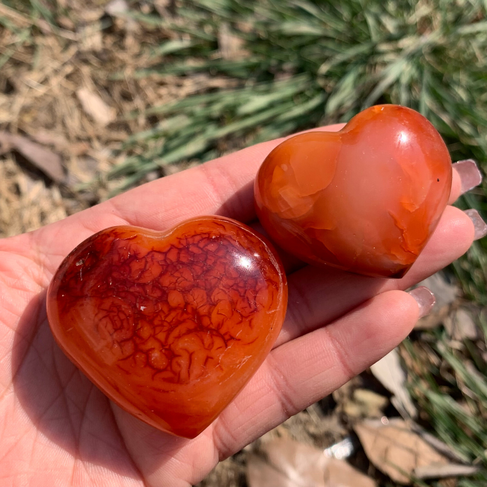 1LB natural carnelian heart quartz Mineral specimen crystal healing 7-8pcs