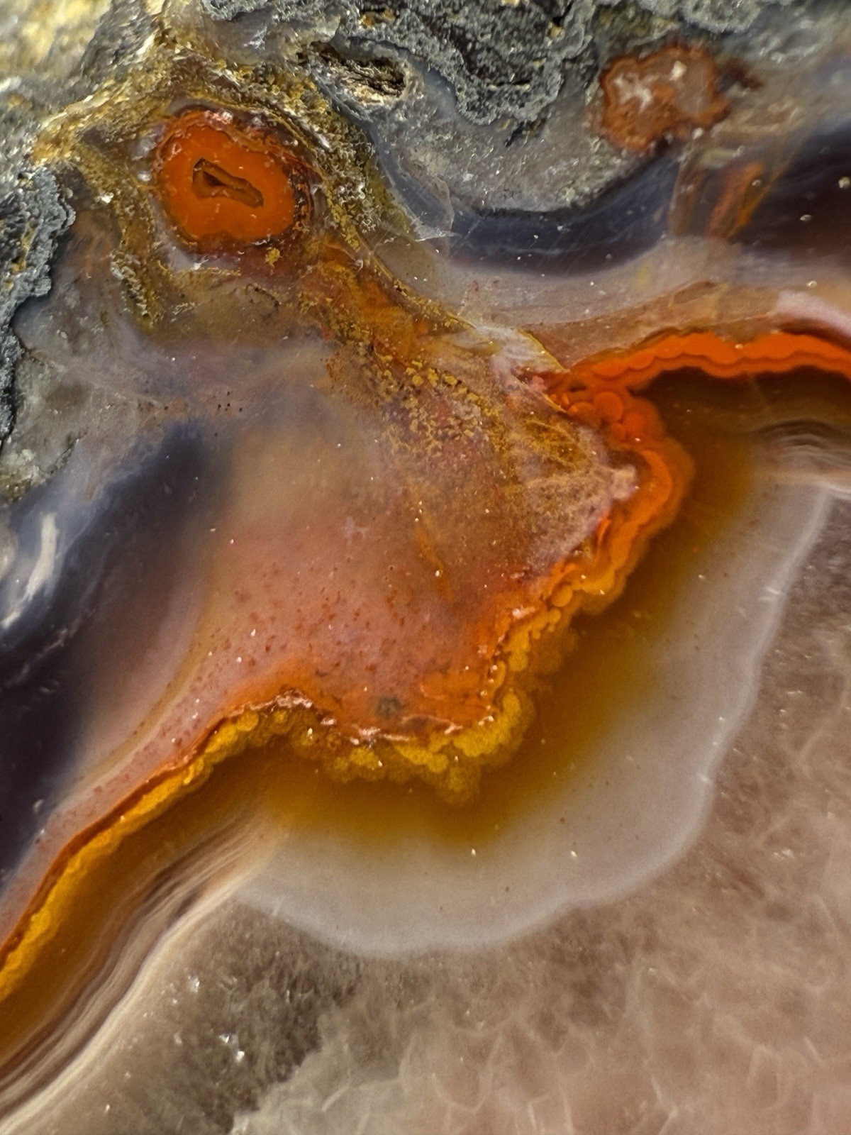 SEE VIDEO High-Grade Multicolor Moroccan Agate | High Atlas | Collector Specimen