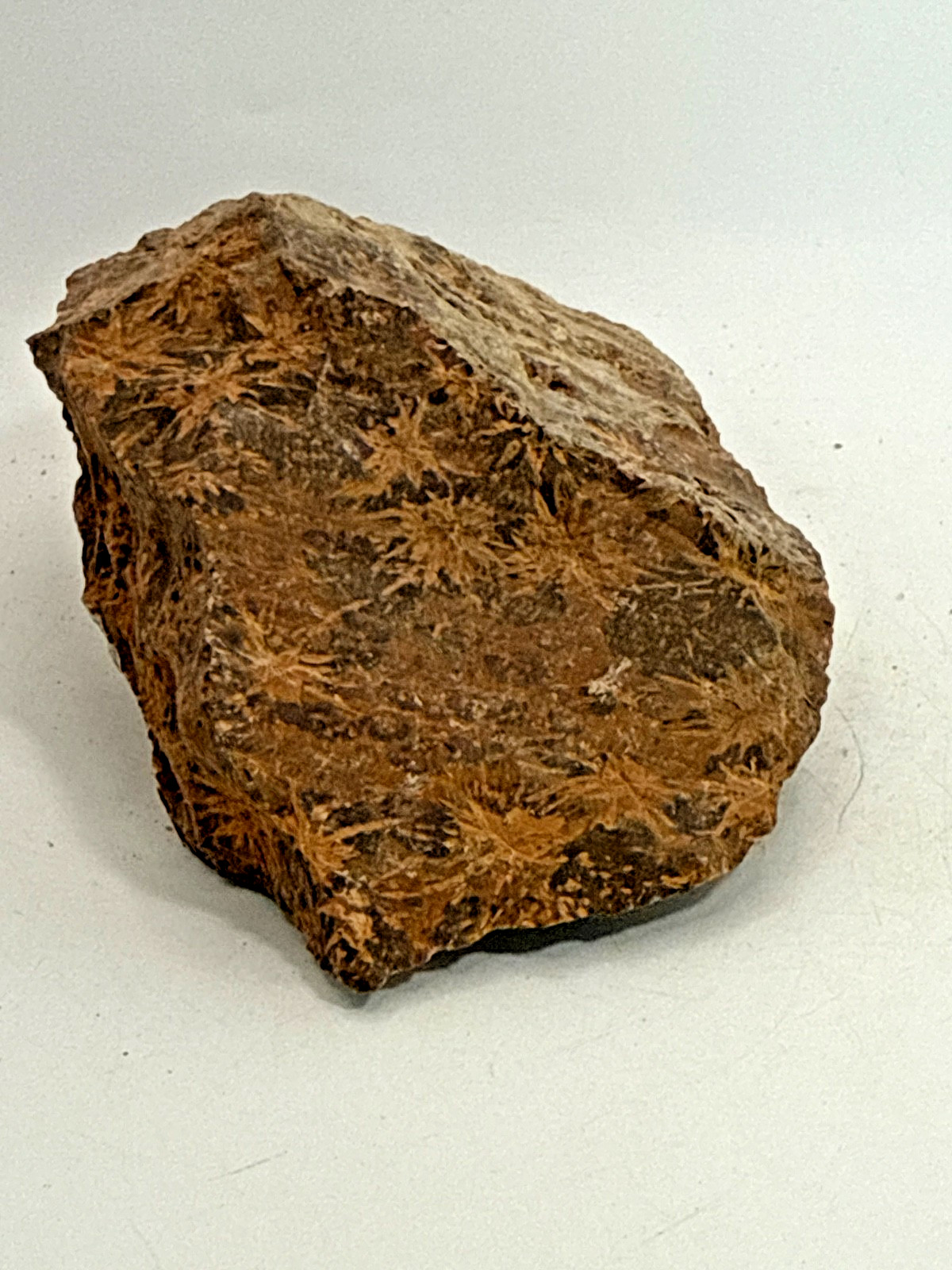 Beautiful Spider Jasper Chrysanthemum Specimen 529 Grams