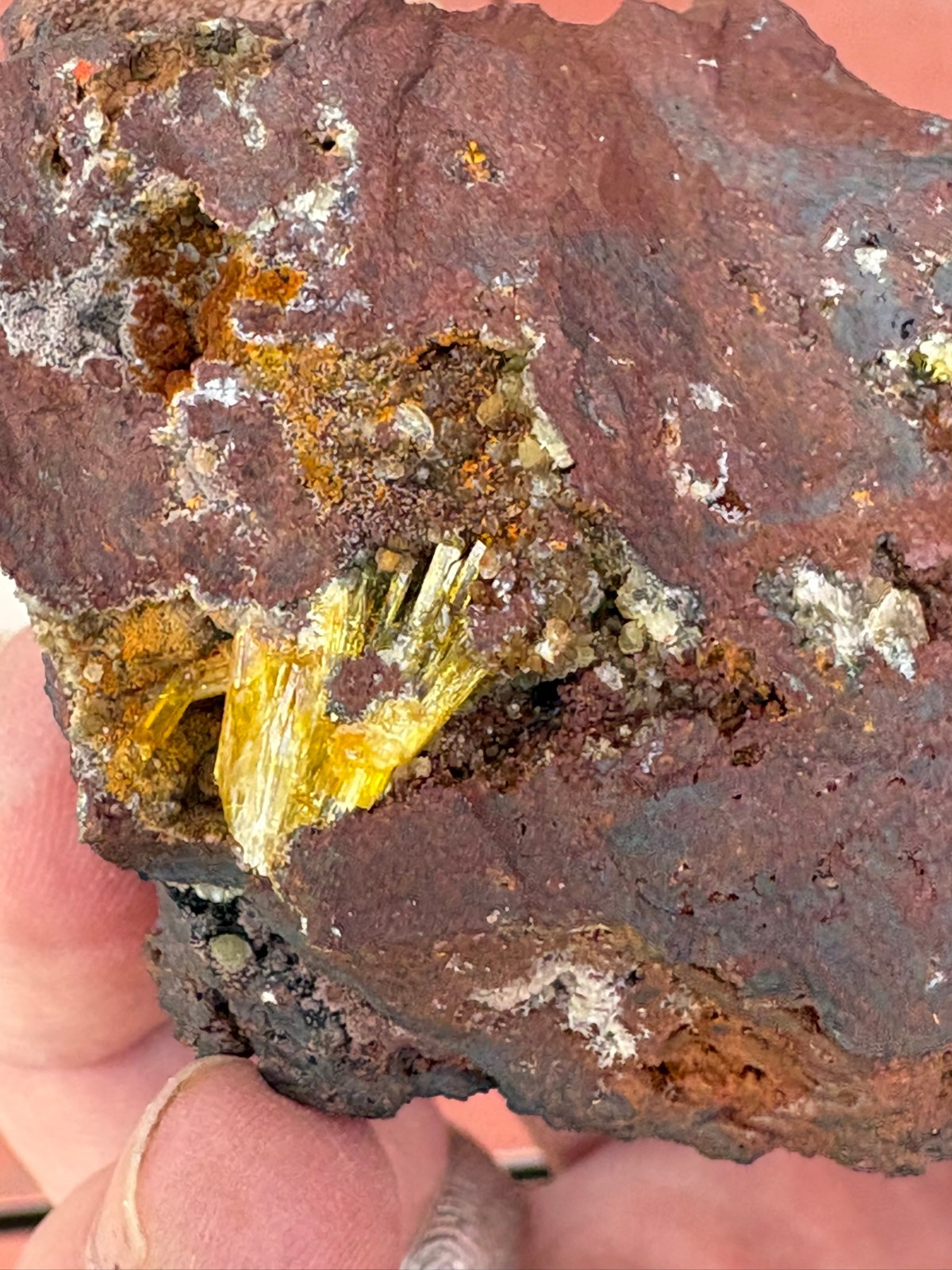 Legrandite crystal spray in matrix, Ojuela mine, Mapimi, Durango, Mexico