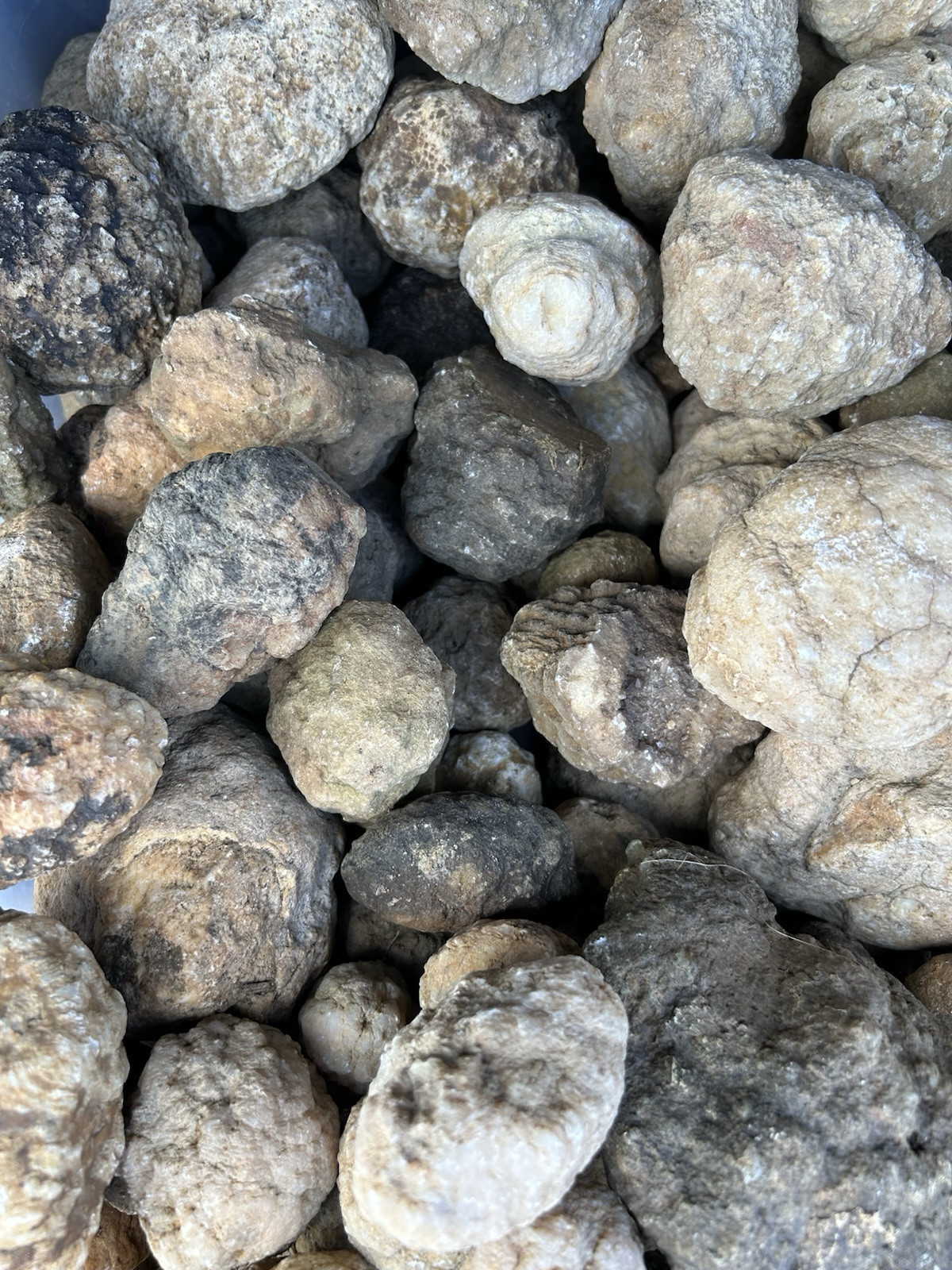 2 Lbs Bulk Lot Unopened Geodes/Nodules Natural Solid, Semi Solid-Break Your Own