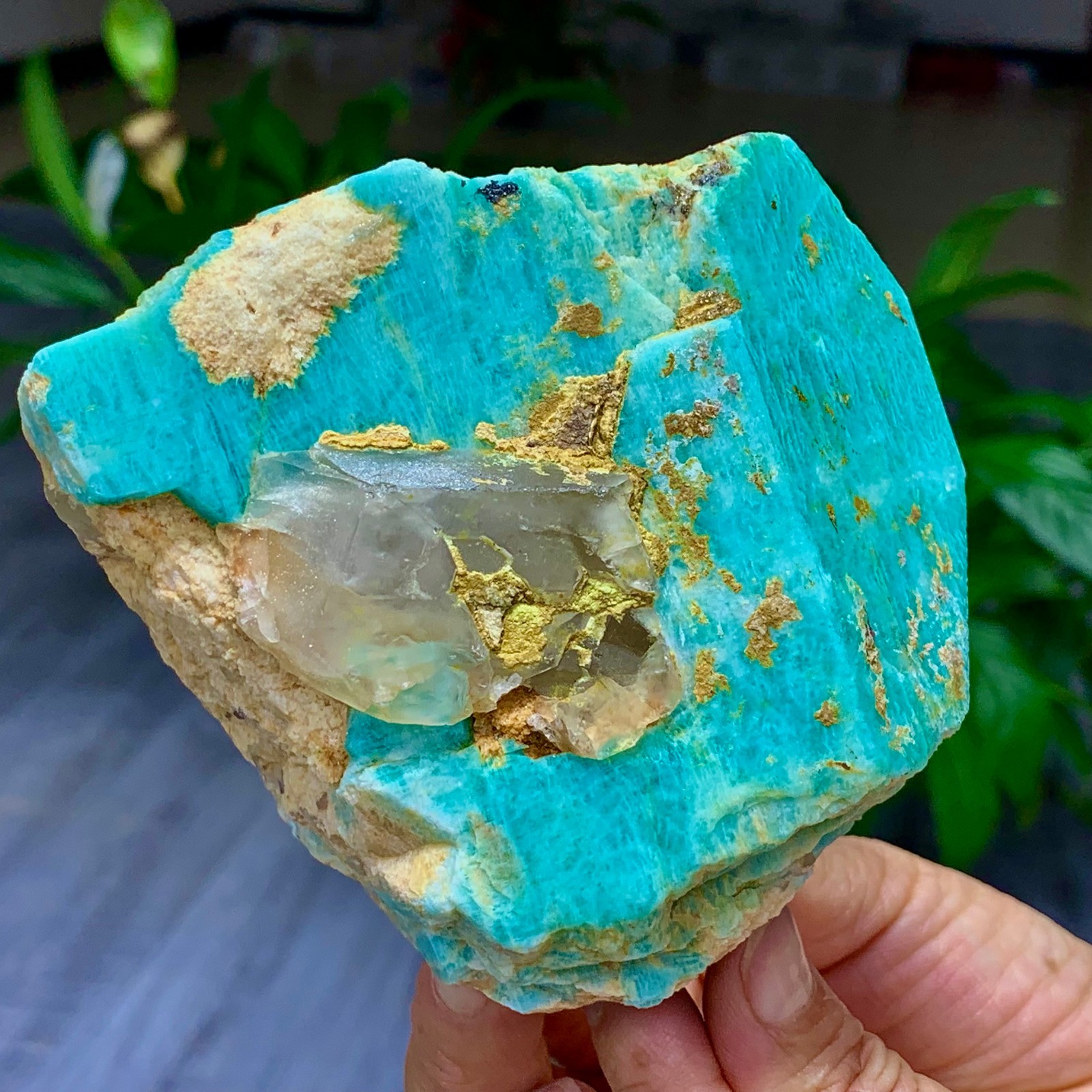 1.58LB Rare!! Natural beautiful Amazonite with Quartz Crystal Specimen Rough