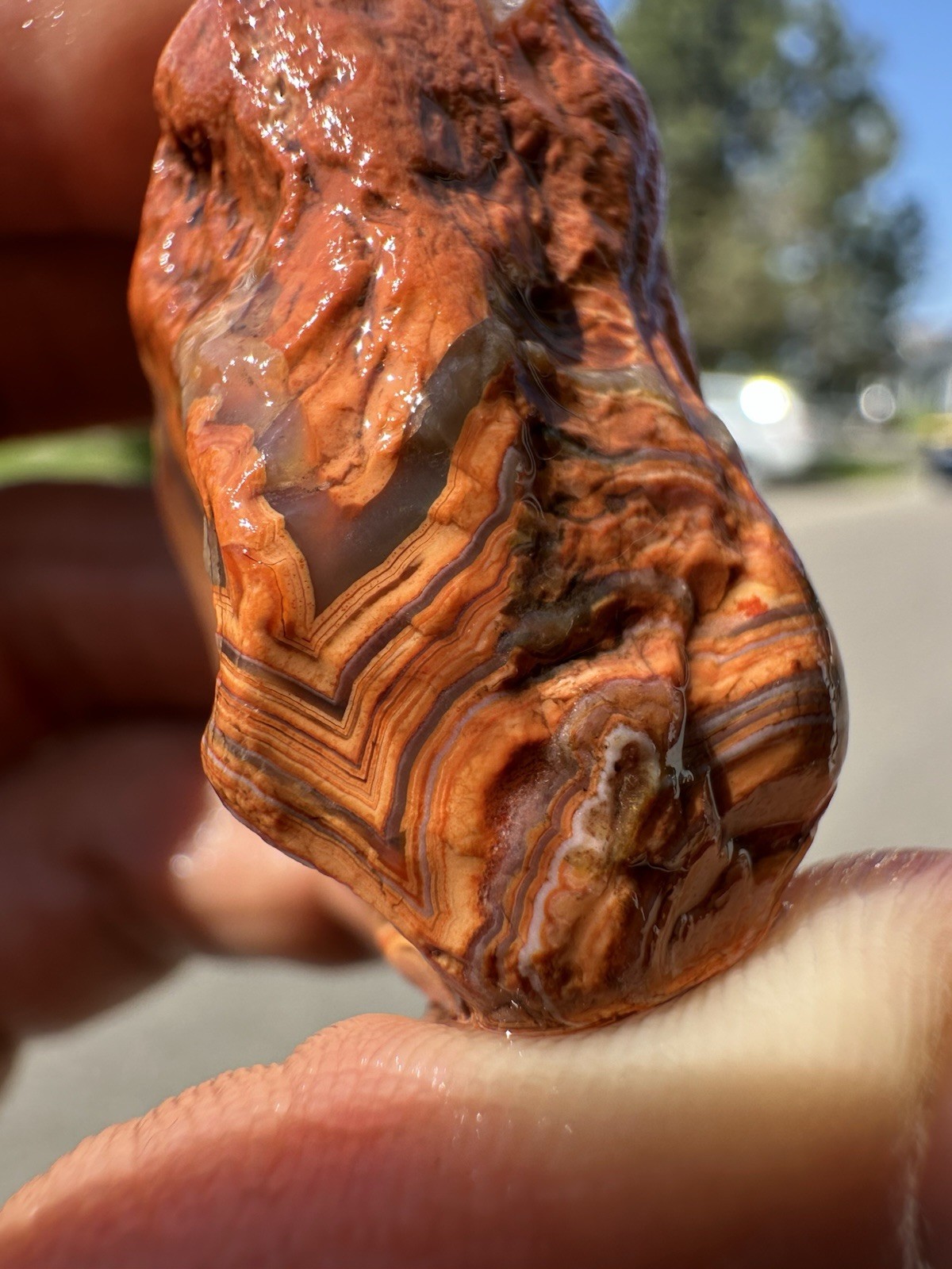 1.45 oz Lake Superior Agate Rare Chalky Opaque Fire Canyon Paint Agate (DEAL)