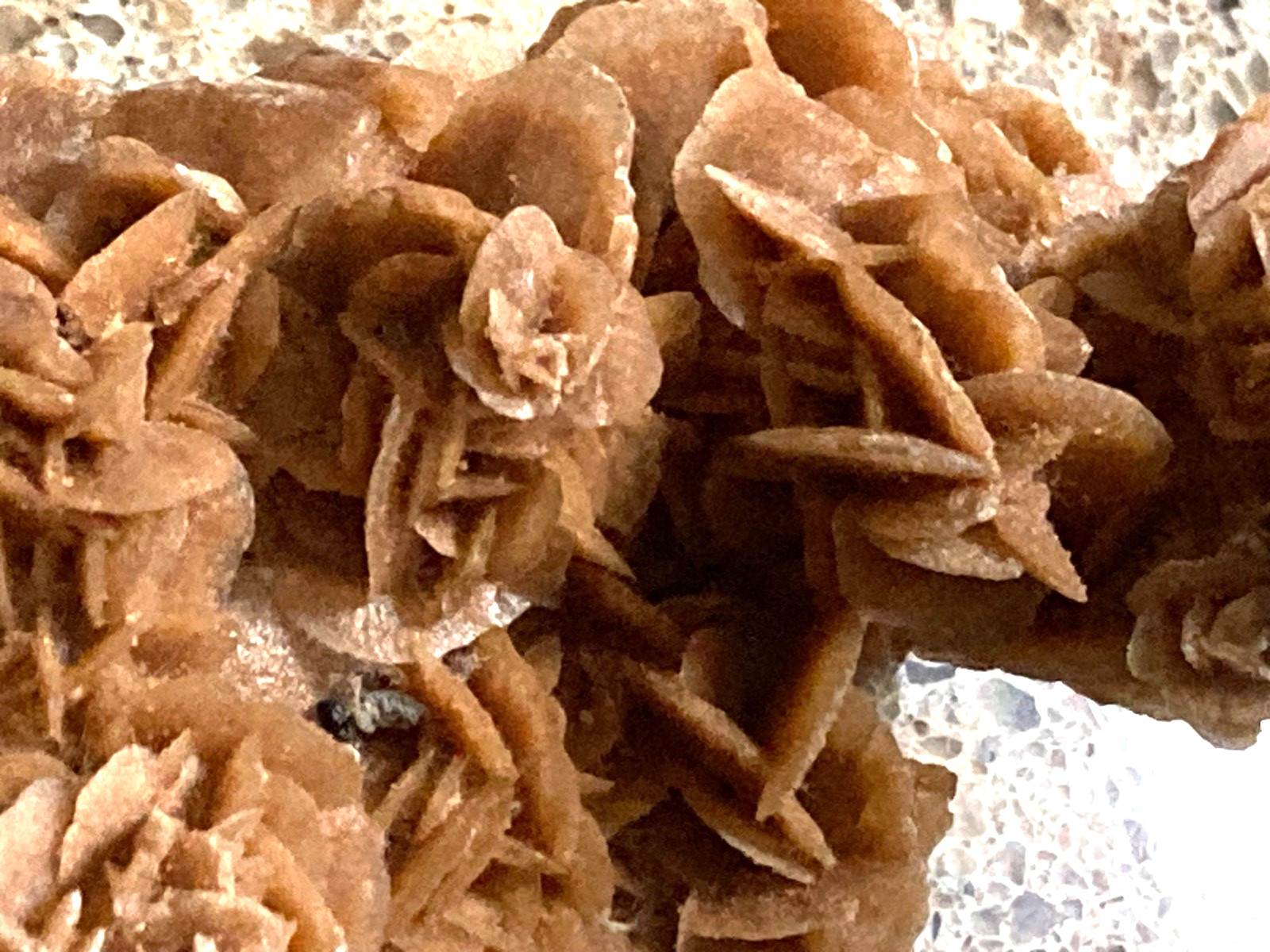 Africa Minerals- Selenite Rose, Celestite, Vanadinite
