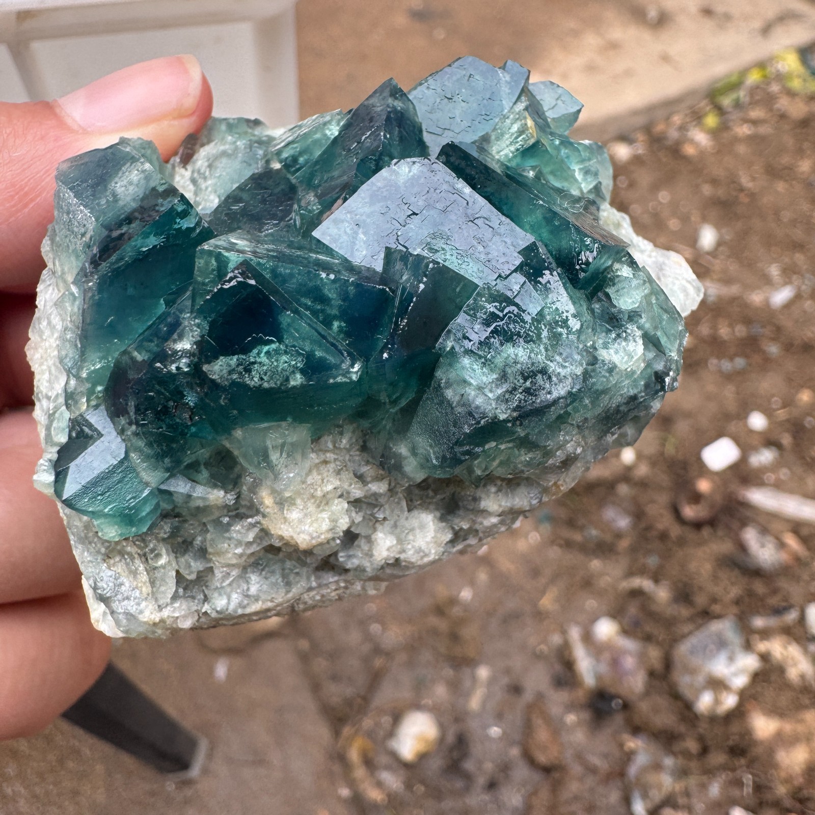 140G Natural cubic green fluorite crystal cluster rough mineral specimen Healing