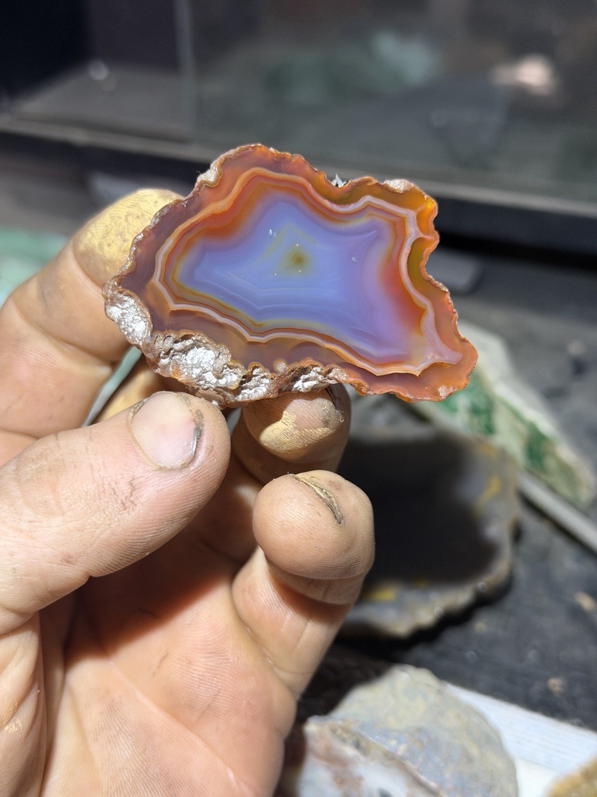 Fracture Free Malawi Agate Mirror Polished | Good Size Rare Multicolored *Africa