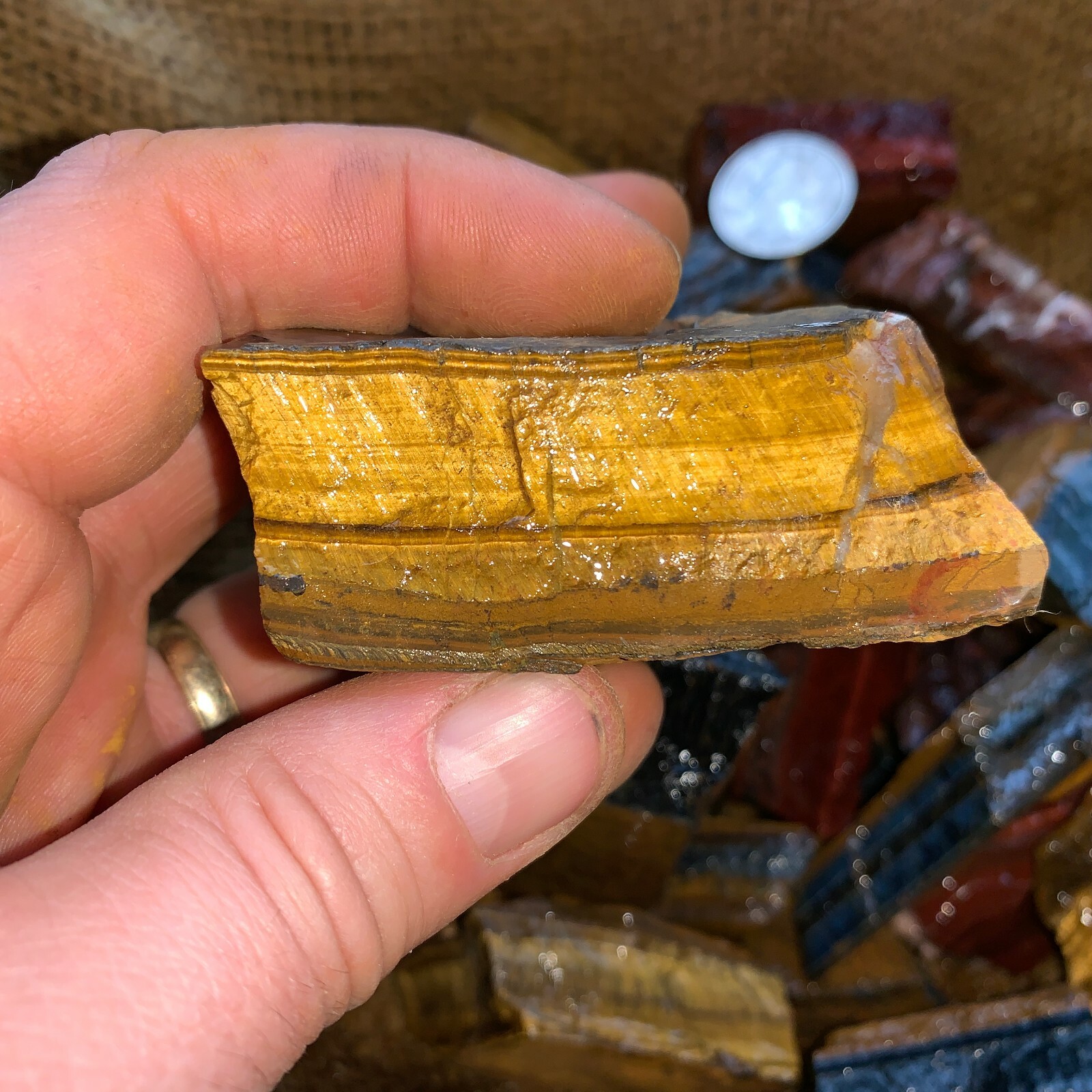 MIXED Tiger Eye Rough (RED, BLUE, GOLD)- 1000 Carat Lots+a FREE Faceted Gemstone