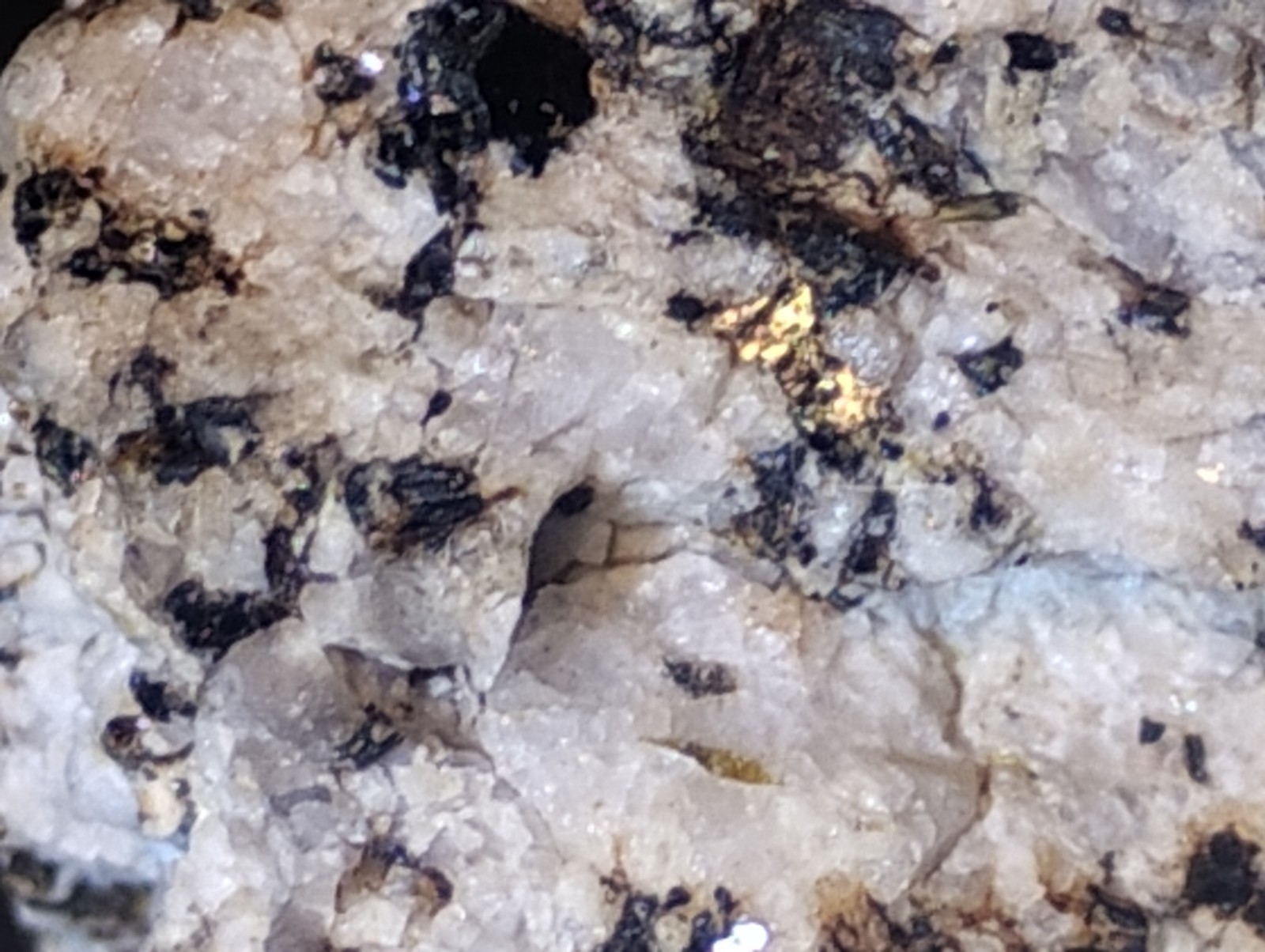 Polymetallic Ore Matrix Quartz, Pyrite & Silver/Black Sulfides – Blue Mountain?