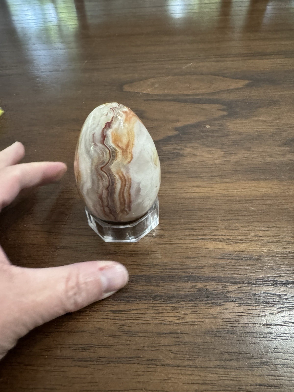 Banded Onyx Polished Egg Displayed On Plastic Stand Beautiful!