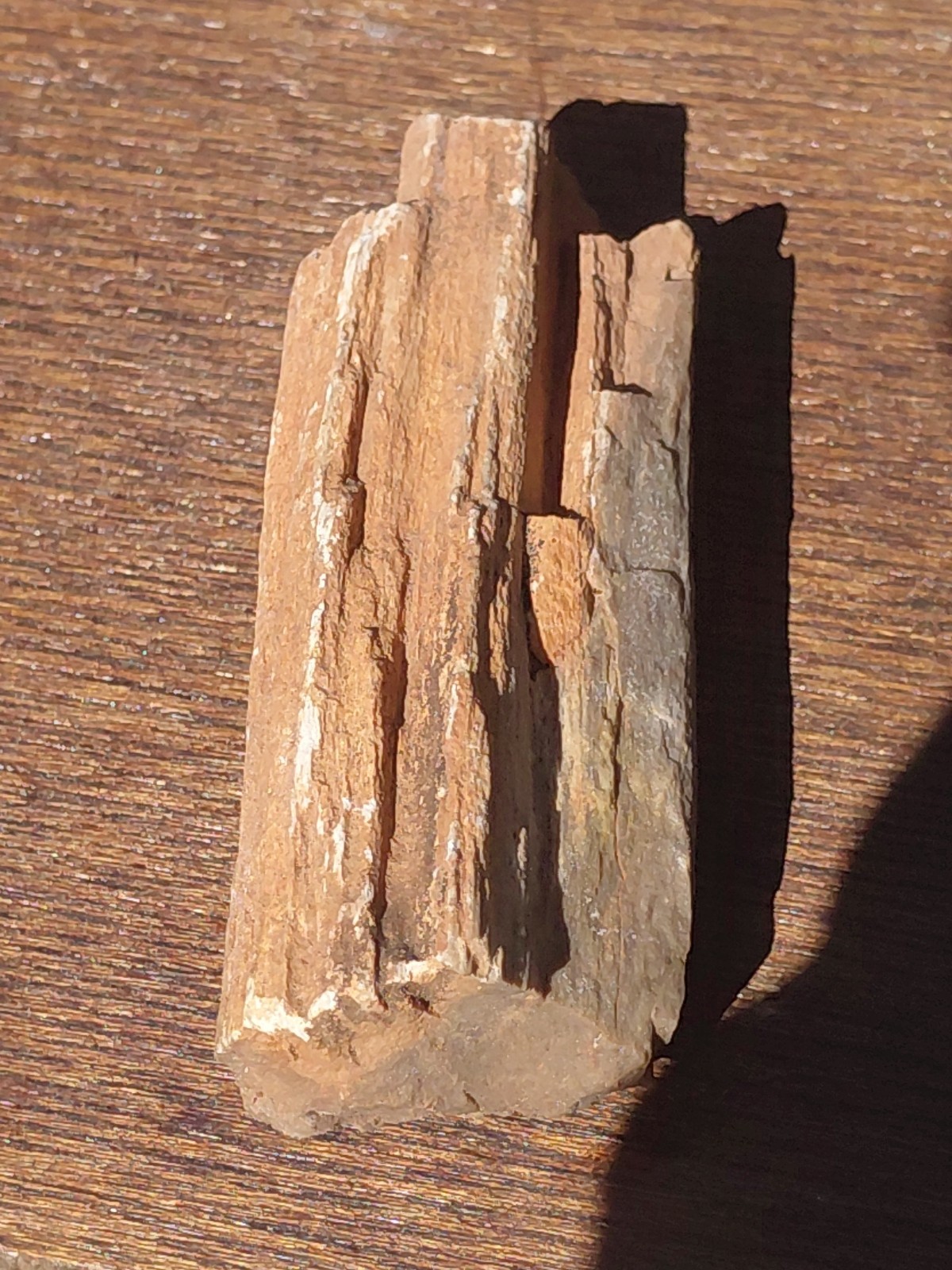 Petrified Wood Fossilized Branch W Bark Druzy Quartz-Hurricane Utah 3 1/4″×1 1/4