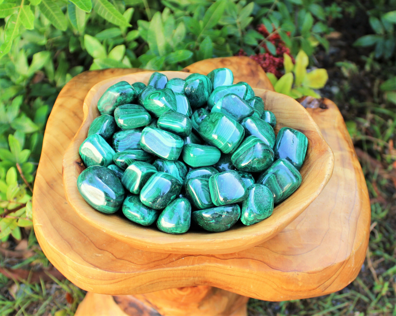 Bulk 1/2 lb Malachite Tumbled Stone: Crystal Healing Gemstone (1/2 Pound, 8 oz)