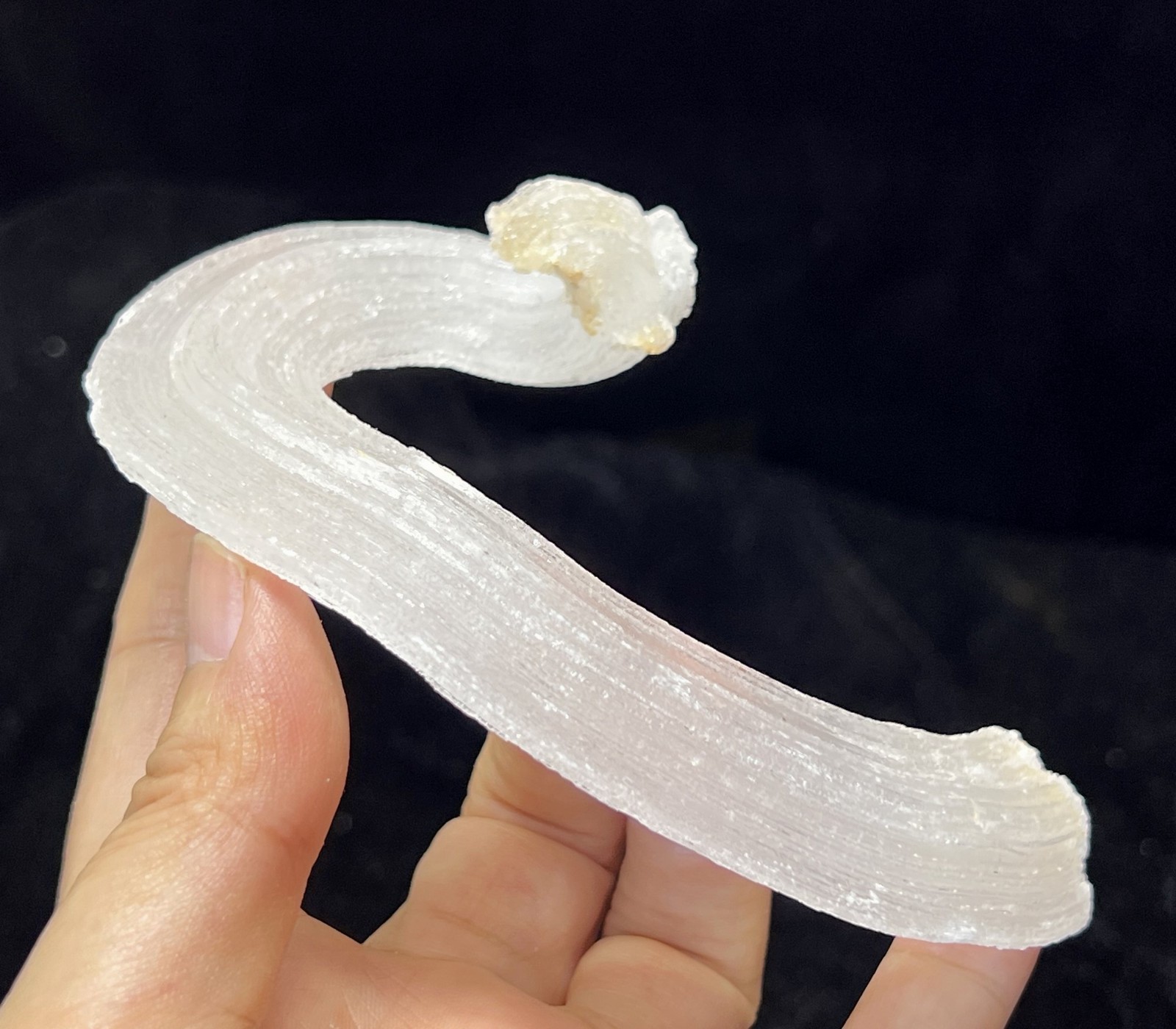 115mm LARGE sparkling ‘Ram’s Horn’ shape Selenite (Gypsum), Natural Mineral