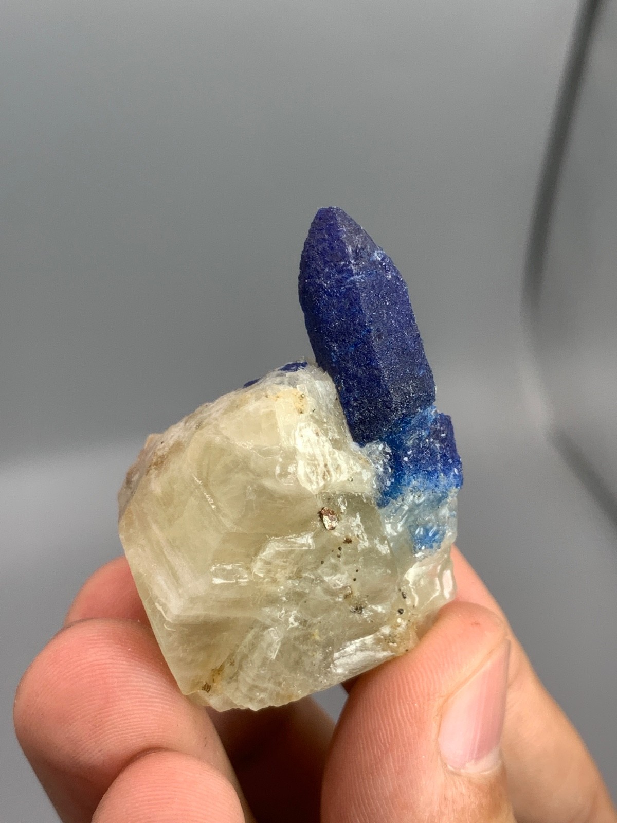 30g Afghanite Crystal on Matrix Badakhshan Afghanistan Mineral Specimen
