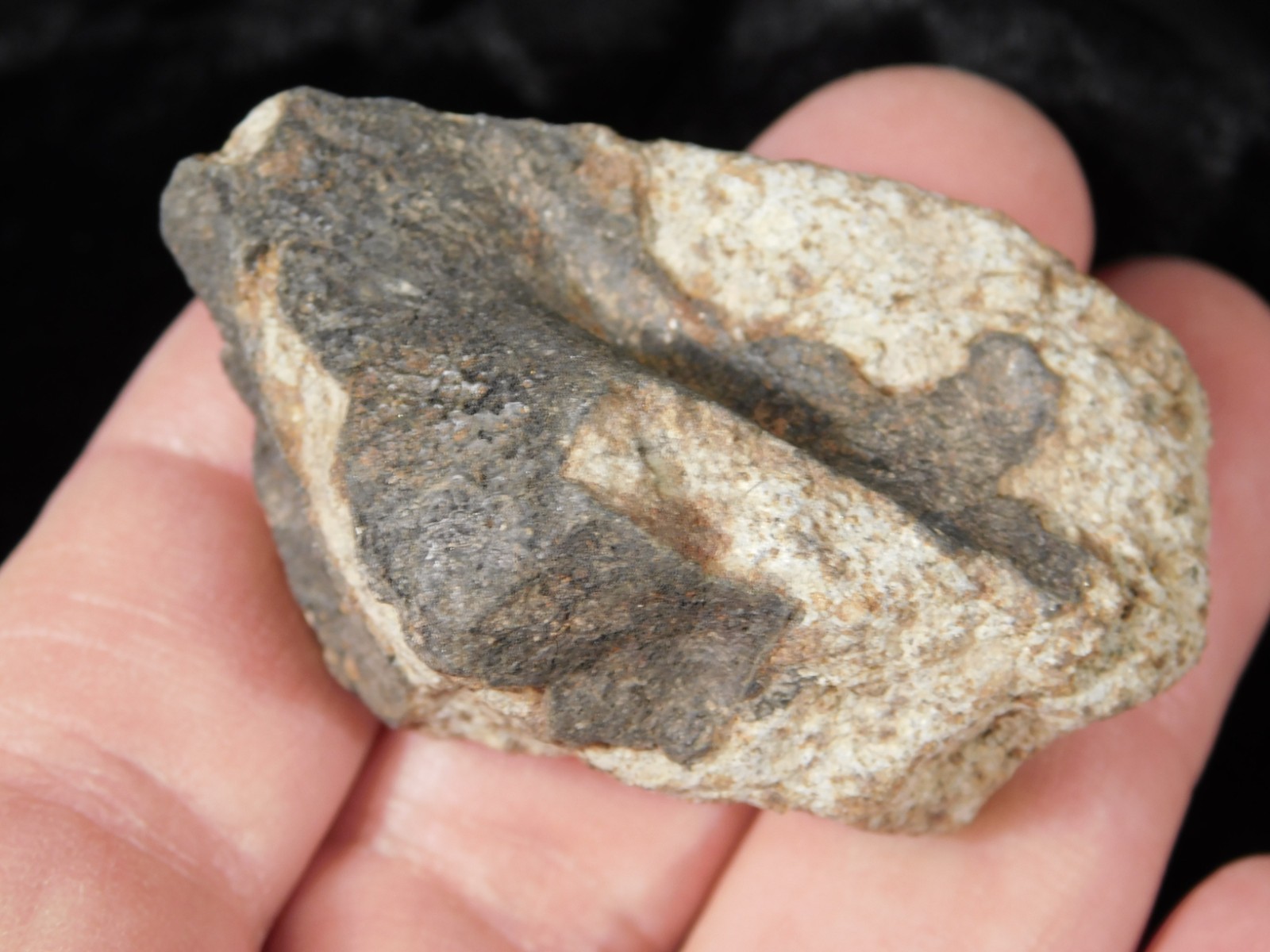 Classified NWA 8245 METEORITE 100% Natural FELL on Erfoud, Morocco 68.1gr