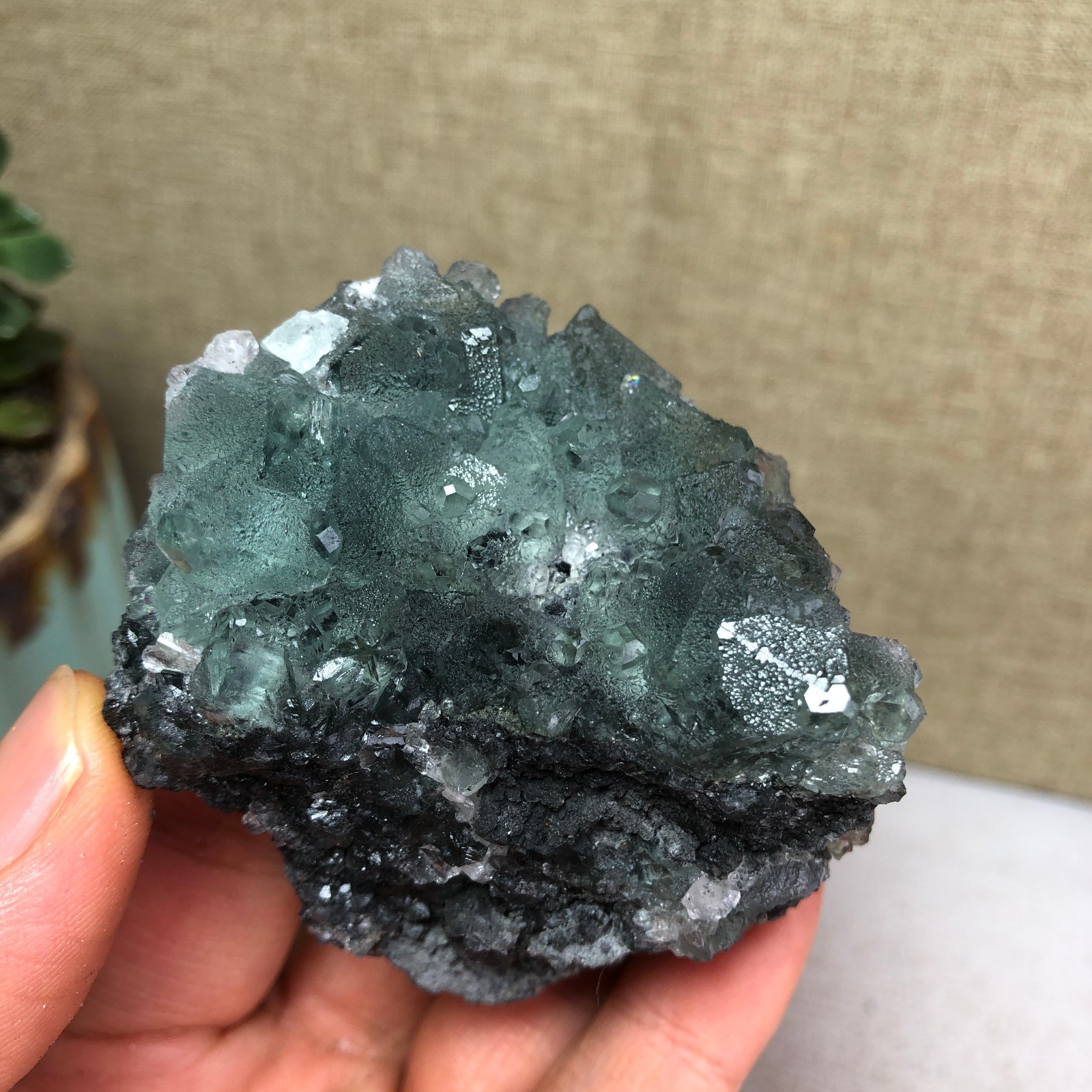 105g NATURAL Green Cubic FLUORITE Crystal Cluster Mineral Specimen A4731