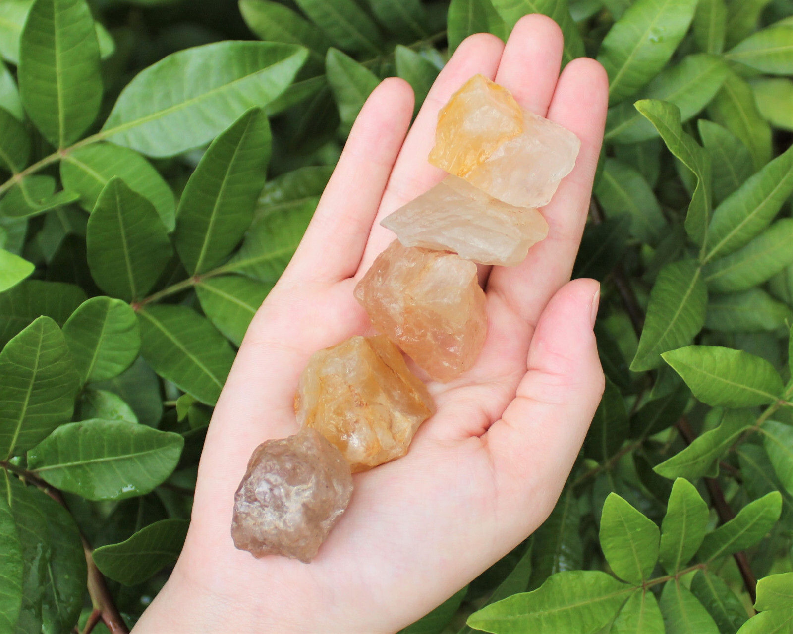 Golden Healer Quartz Rough Natural Crystals Wholesale Lots (Raw Golden Quartz)