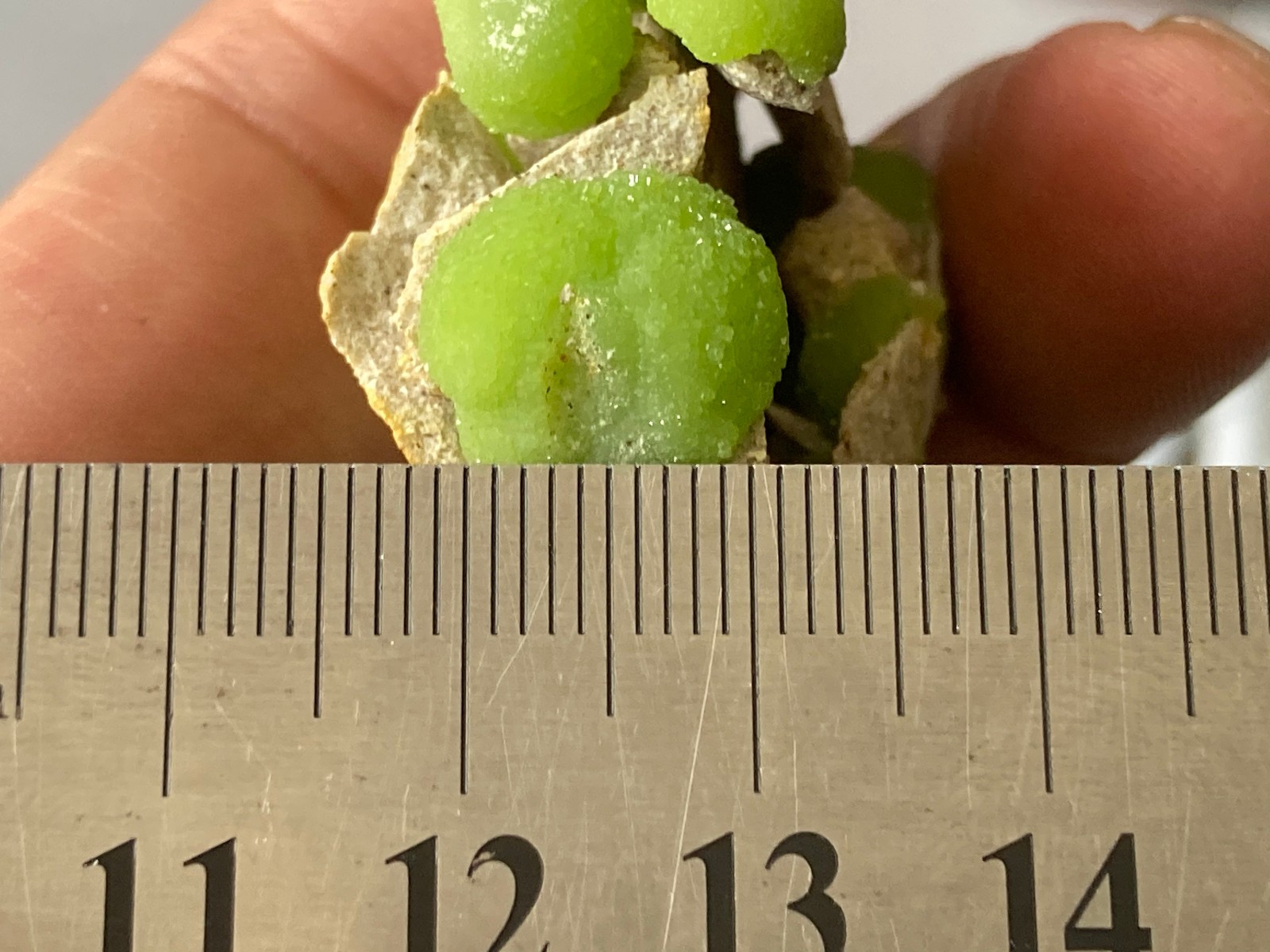 8.2cm Green Pyromorphite on Matrix from China