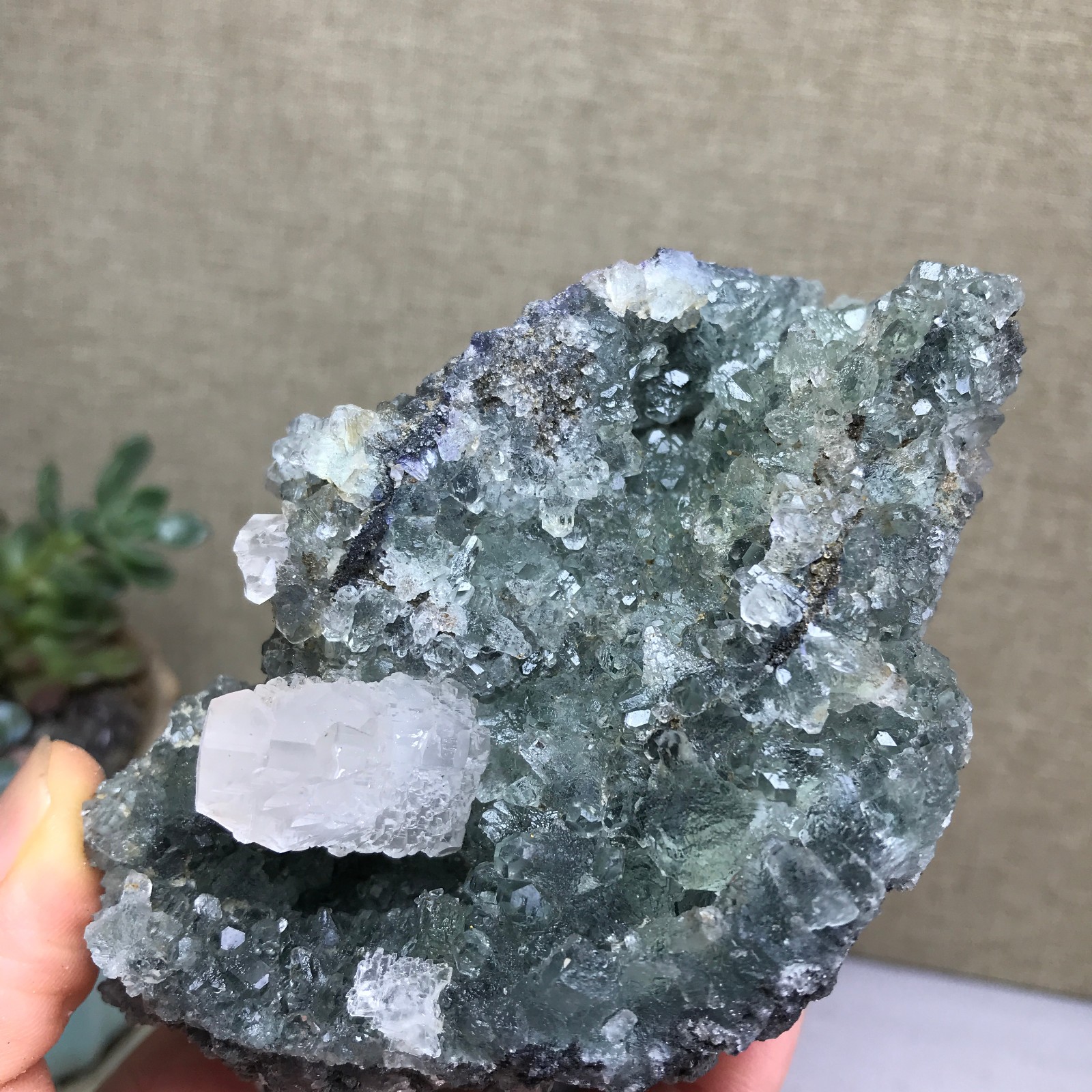 476g NATURAL Green Cubic FLUORITE paragenesis Crystal Cluster Specimen A4780