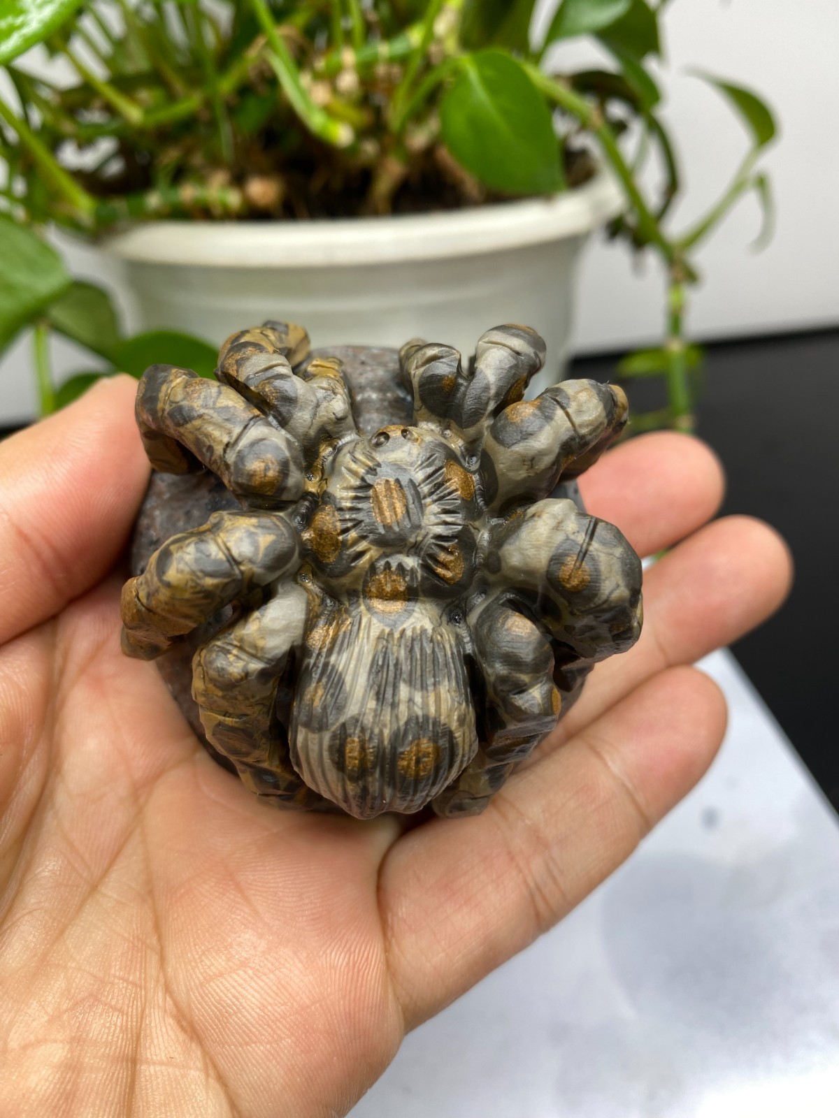 1pc Natural Moneystone Quartz Carved spider skull Crystal reiki healing Decor