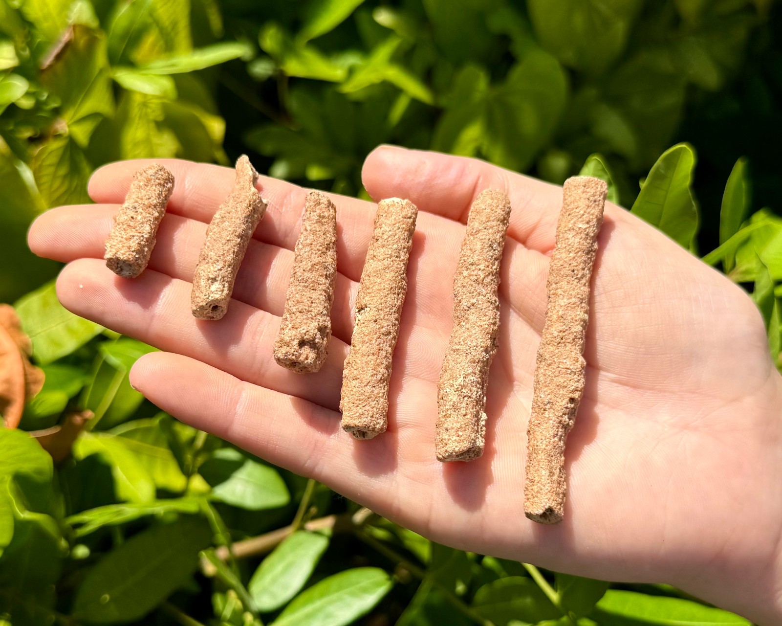 RARE Fulgurite Crystals Collection Box – Natural Lightning Formed Raw Fulgurite