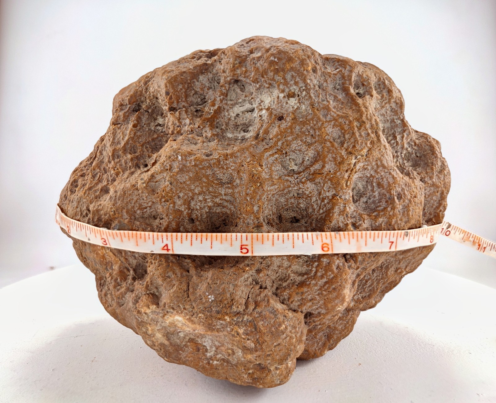8″ Unopened Geode Nodule Round Bumpy Exterior Kentucky Quartz Crystal 8.4 LB