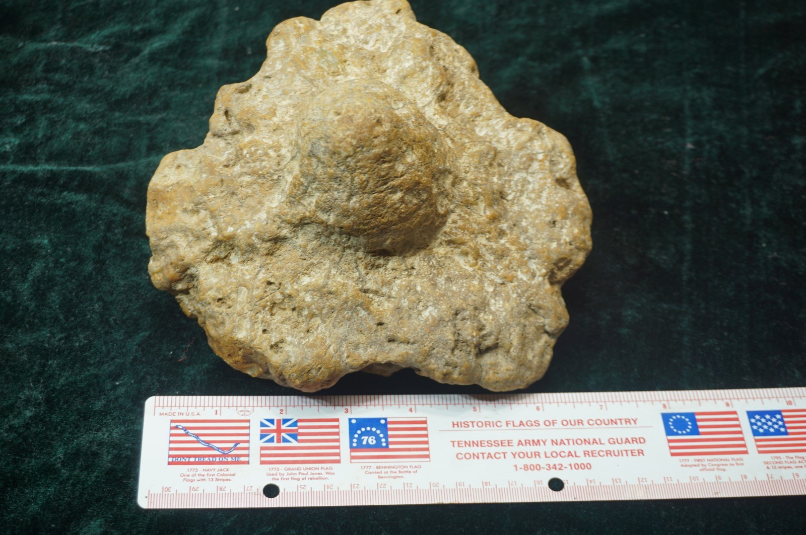 Flying Saucer Kentucky Geode