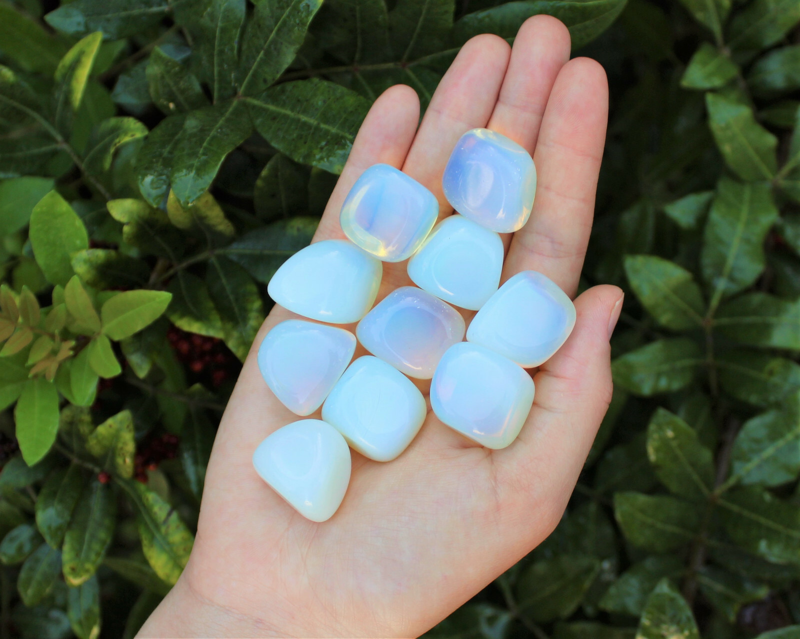1/2 lb Bulk LARGE Opalite Tumbled Stone Crystal Healing Gemstone 8 oz