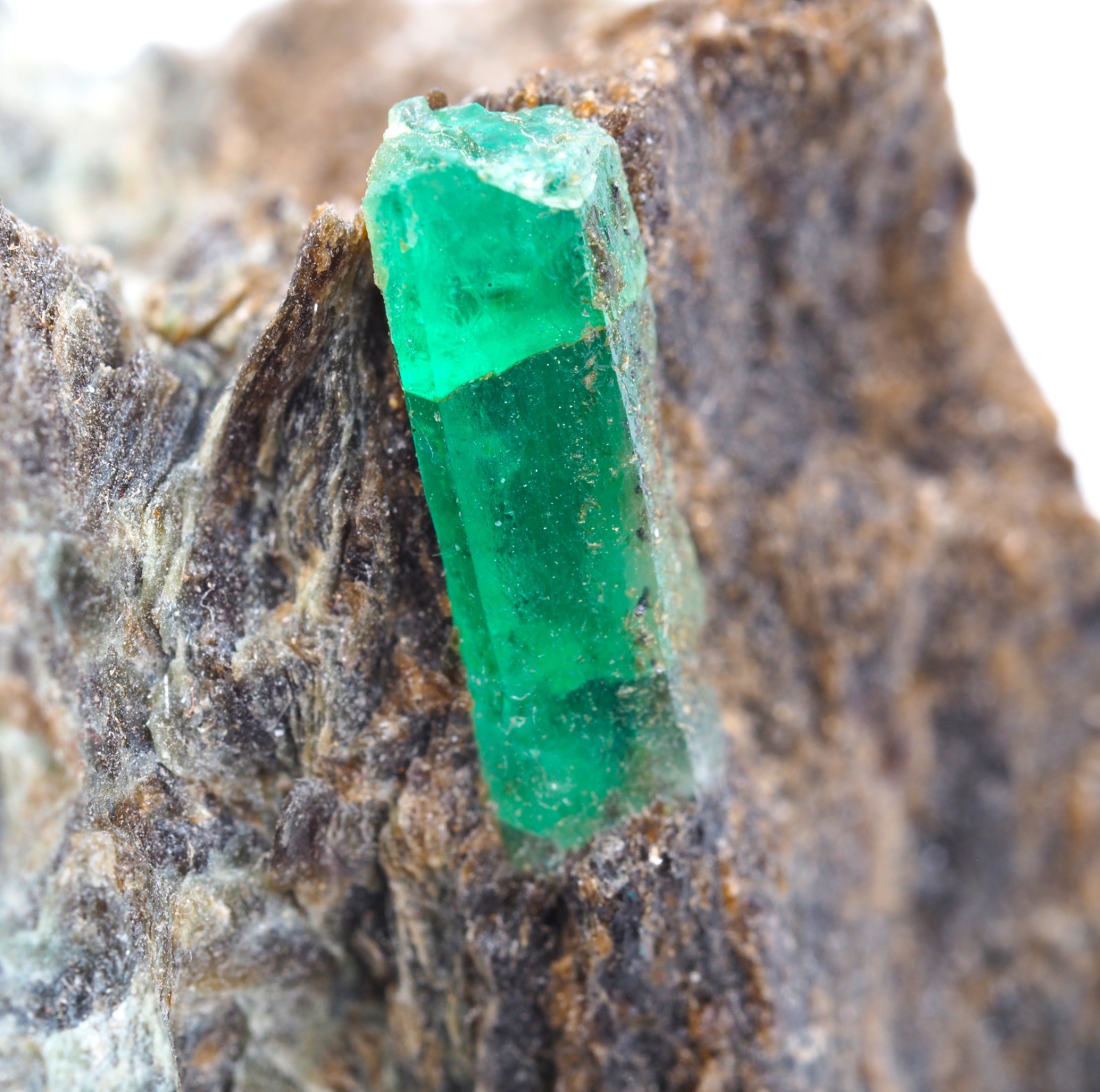 Great Emerald Crystal on Matrix – Leckbachgraben, Austria
