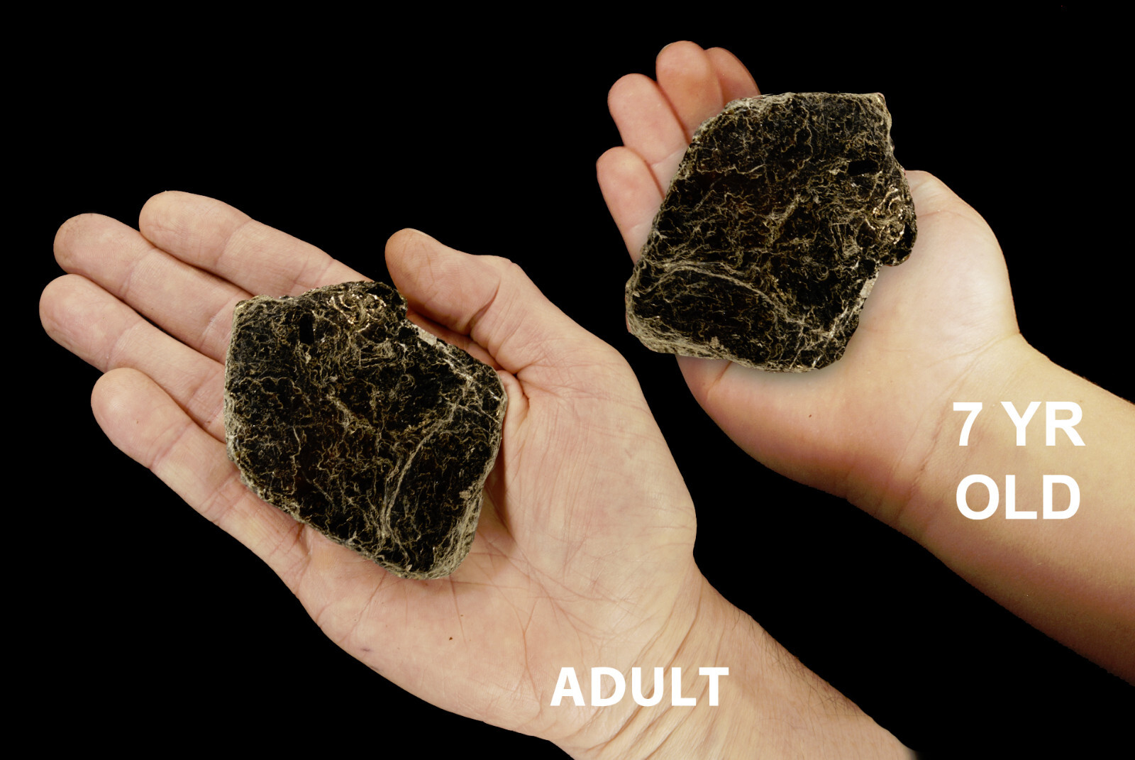Biotite Book Mica Crystal 2″ 1-2 Oz Raw Natural Rock Mineral Specimen Rough