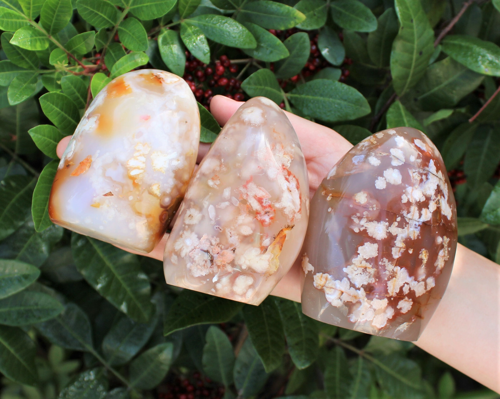 Flower Agate Freeform – Stunning Polished Free Standing Crystal Display Specimen