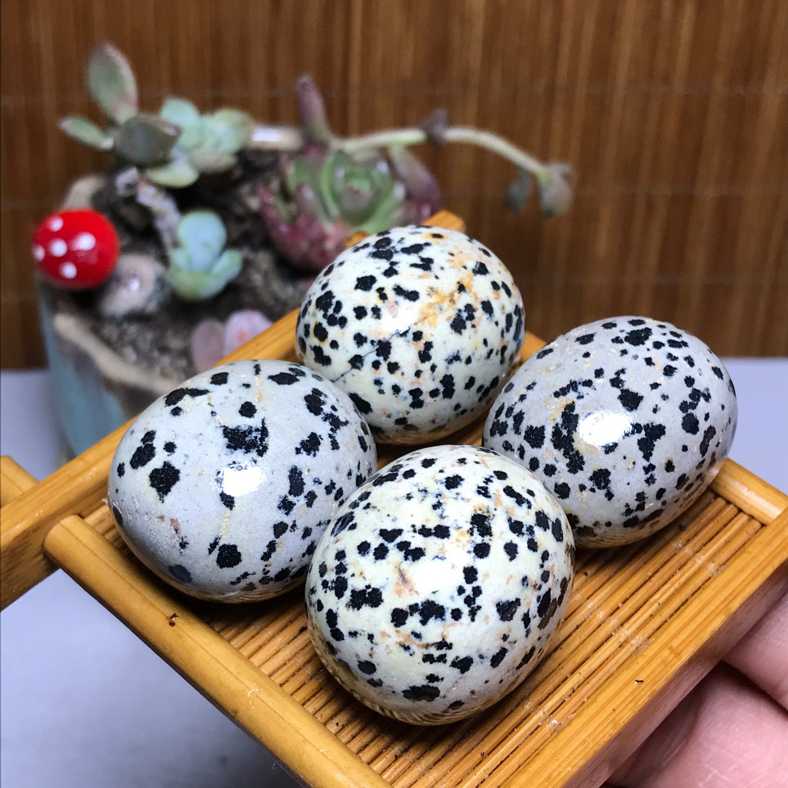 28-23-23mm 4Pcs Natural spotted stone Crystal gemstone Mineral Specimen A4404