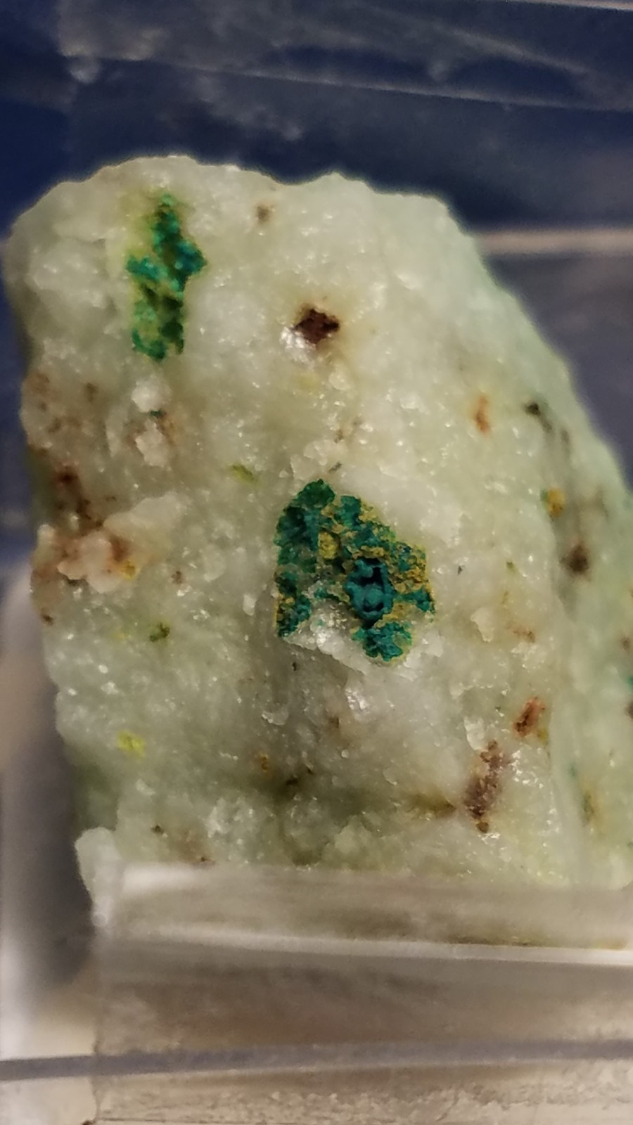 SiG: Blue-Green Greenish-Blue Claraite Crystals on Matrix from Austria
