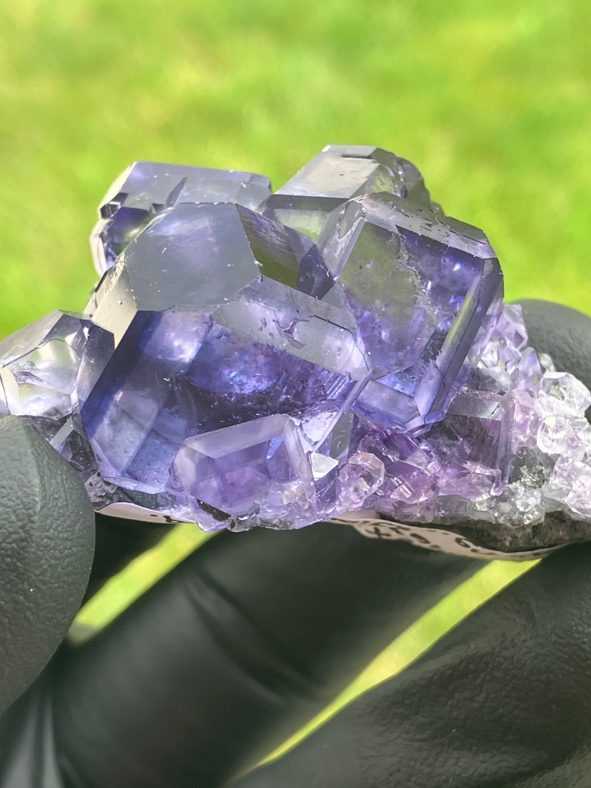 “Tanzanite” Fluorite gemmy lustrous large crystals XiaYang Mine Fujian China