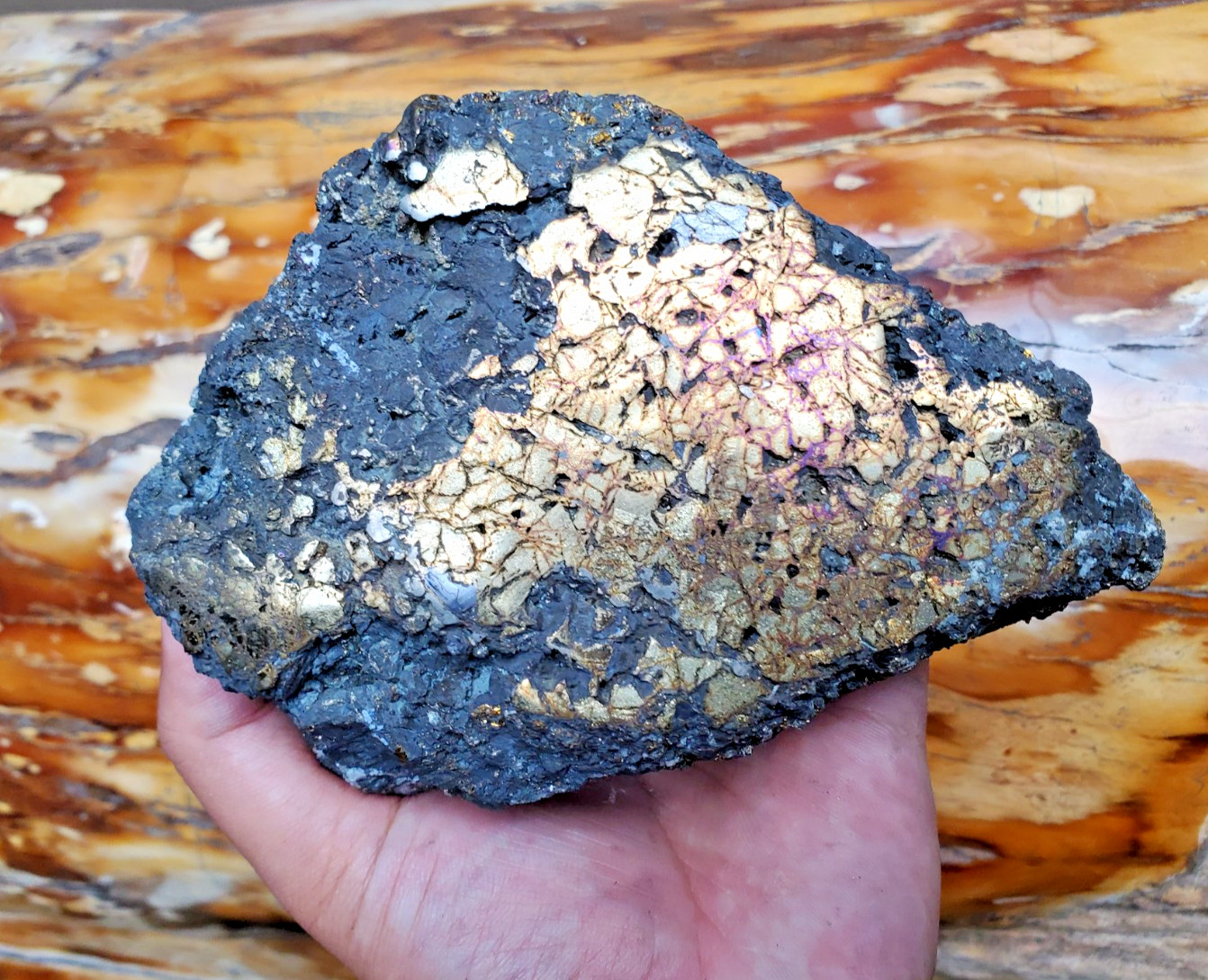 1469G Top Raw Sphalarite ,Chalcopyrite Peacock Partly Polished Specimen