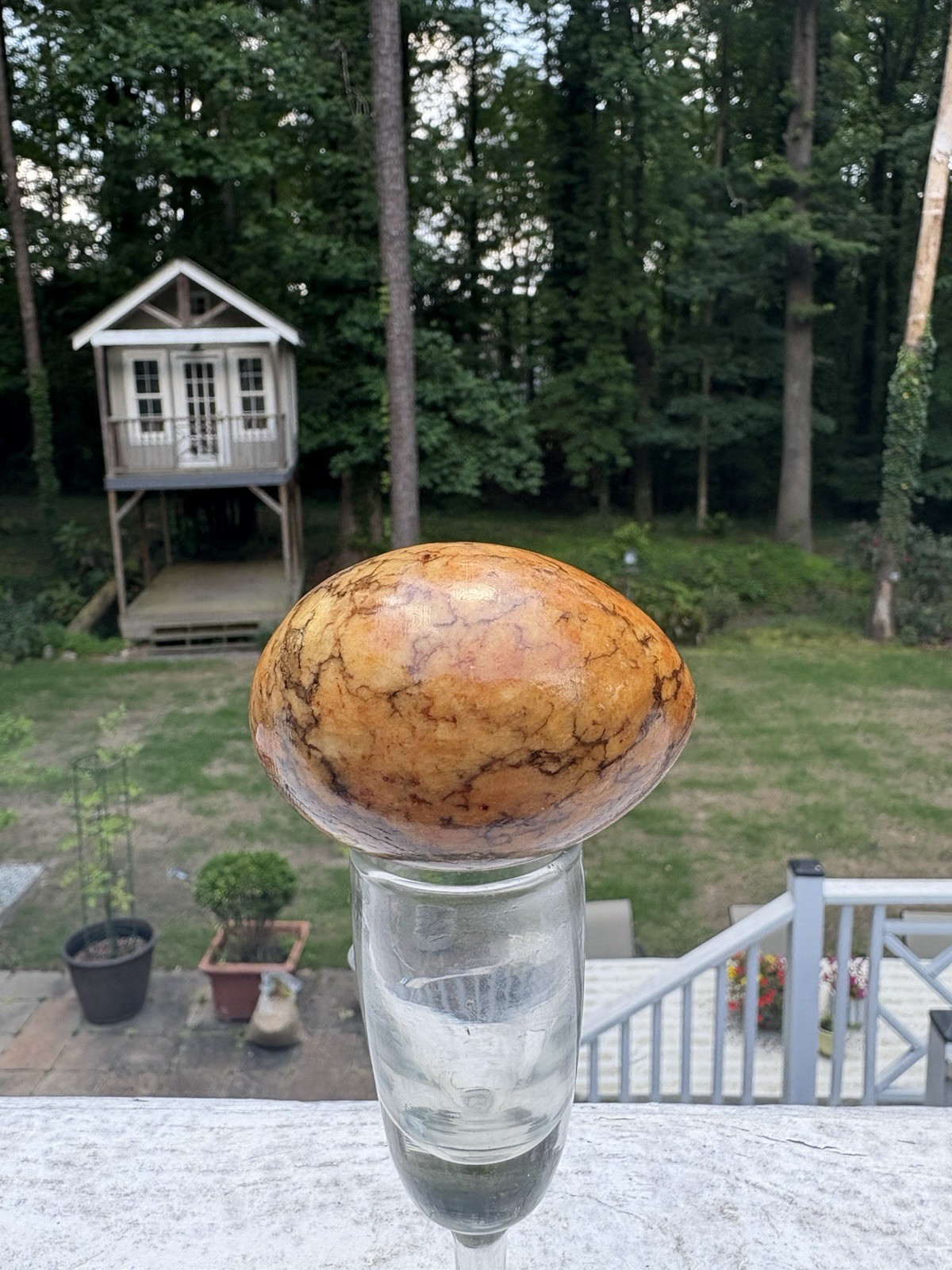 Polished Brown/Tan Marbled Crystal Egg w/ Black Veining