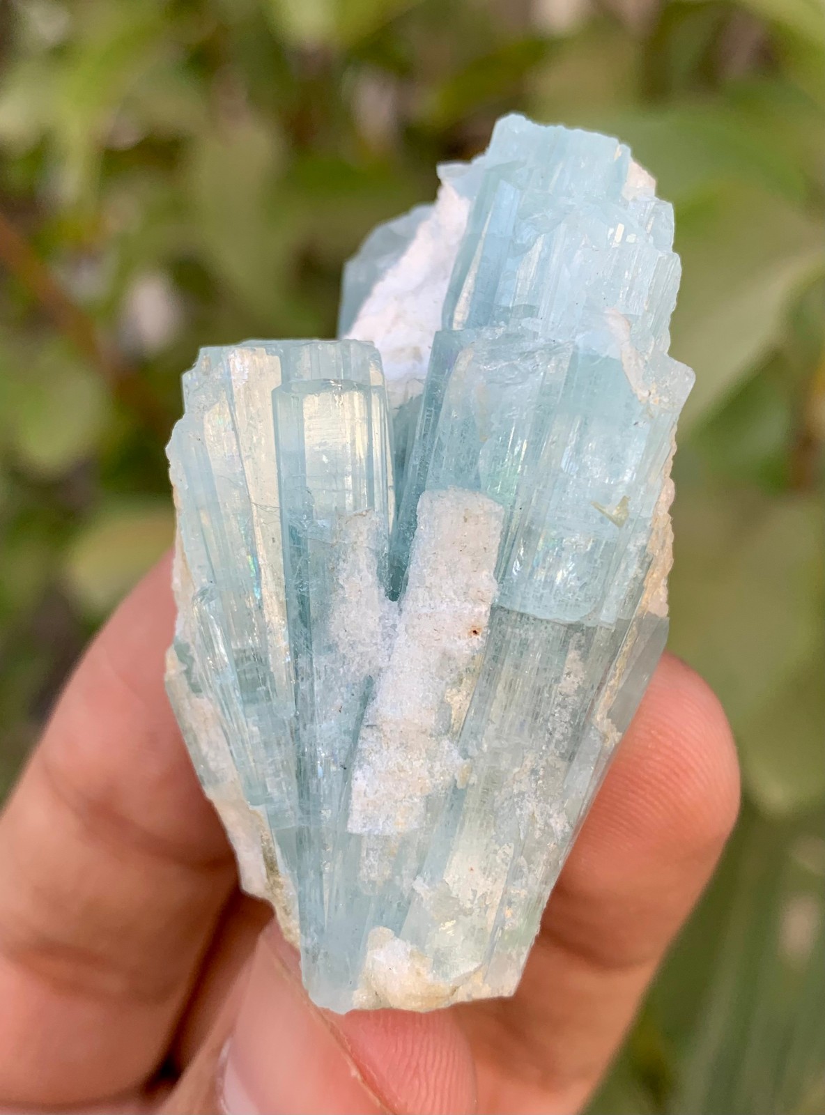 38 Gm Natural Sky Blue Aquamarine Crystal Cluster Specimen From Skardu Pakistan