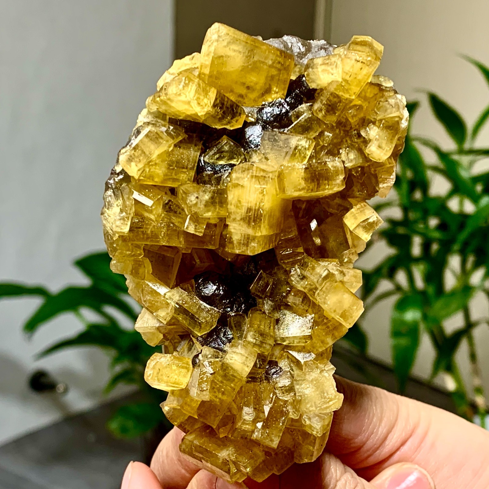 300G Shiny Golden Cuboid Barite Crystal Based on the Purple Spherical Fluorite