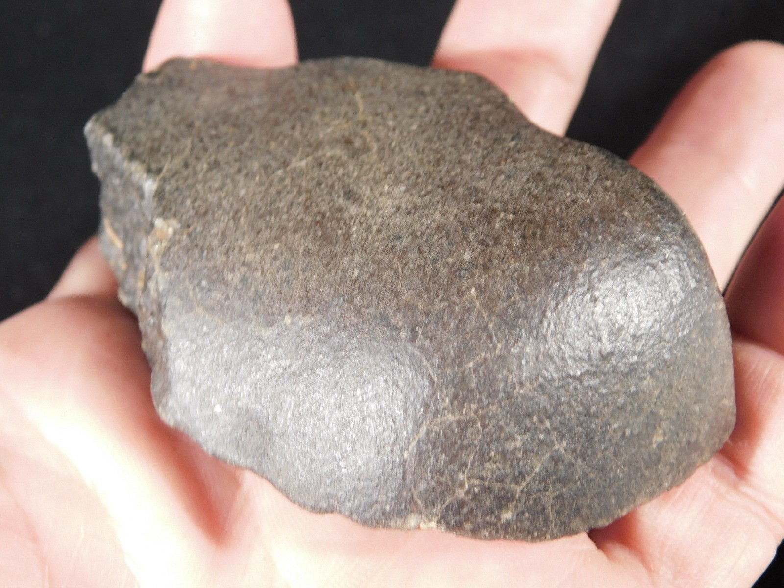 wOw! Larger! Stony METEORITE with DARK Silky Fusion Crust! FELL in Libya 219gr