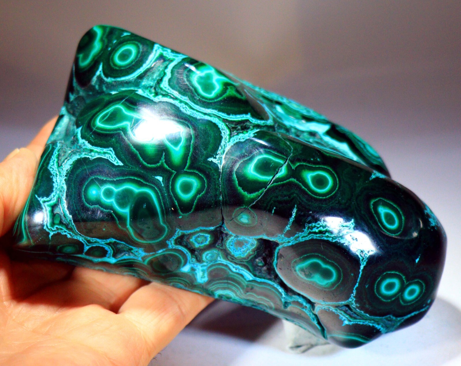 5.75 in 2 lb 12.6 oz Vivid Chrysocolla Malachite w/Superb Pattern, Congo! CR178