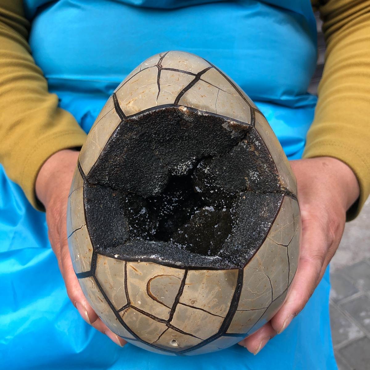 7.23LB Natural Septarian Dragon Egg Geode with Lid Reiki Energy Healing Crystal