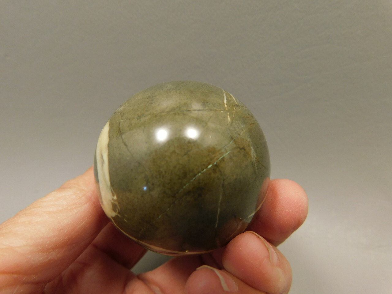 Septarian Nodule Egg Shaped 2.35 inch Polished Rock Utah Stone #O6