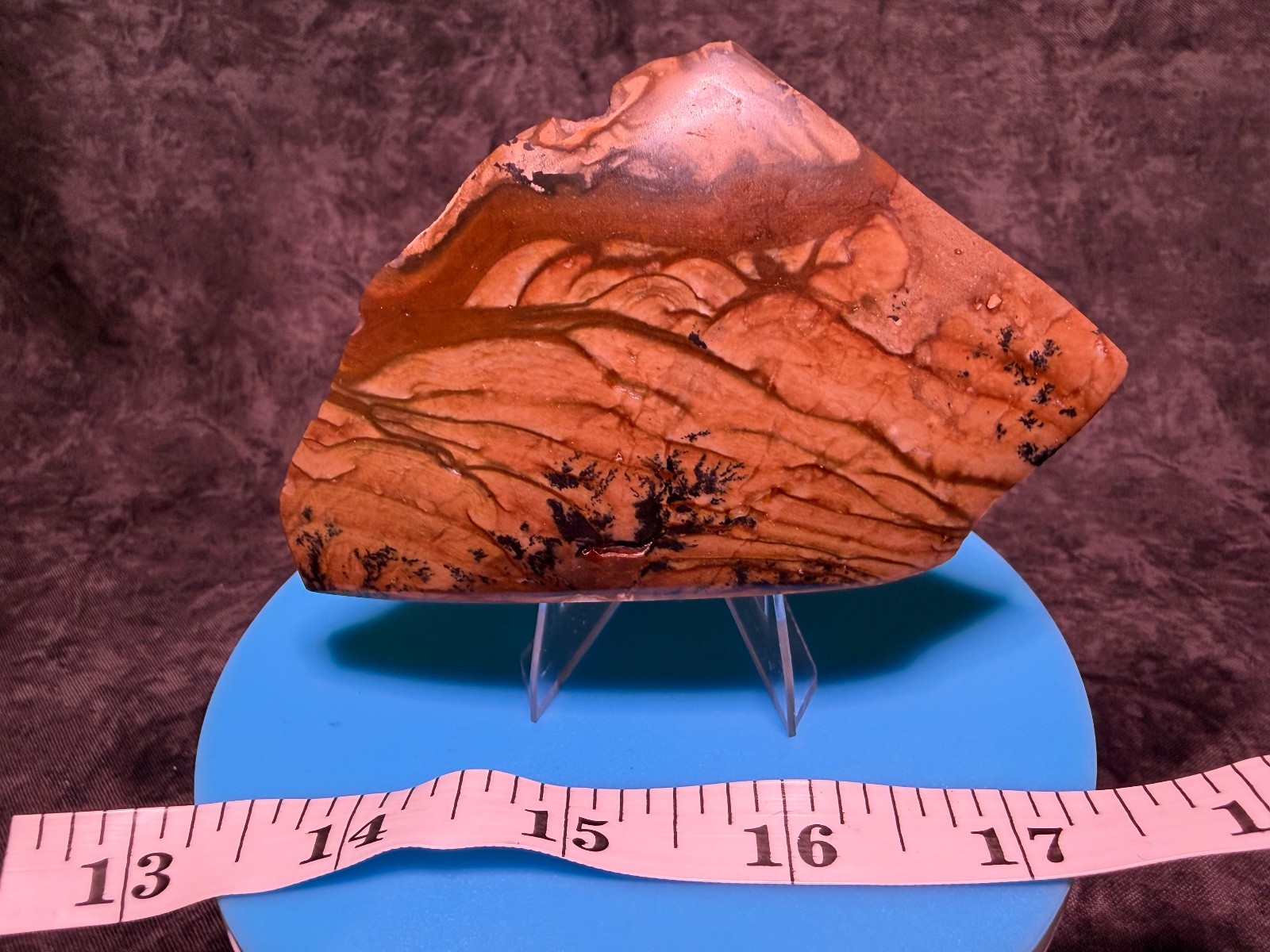 Biggs Picture Jasper Contour polished display piece, lot#55