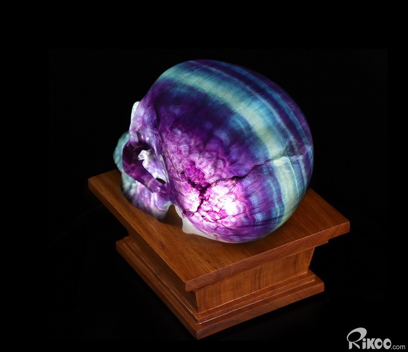 Rikoo Rosewood LED White Light Display Stand