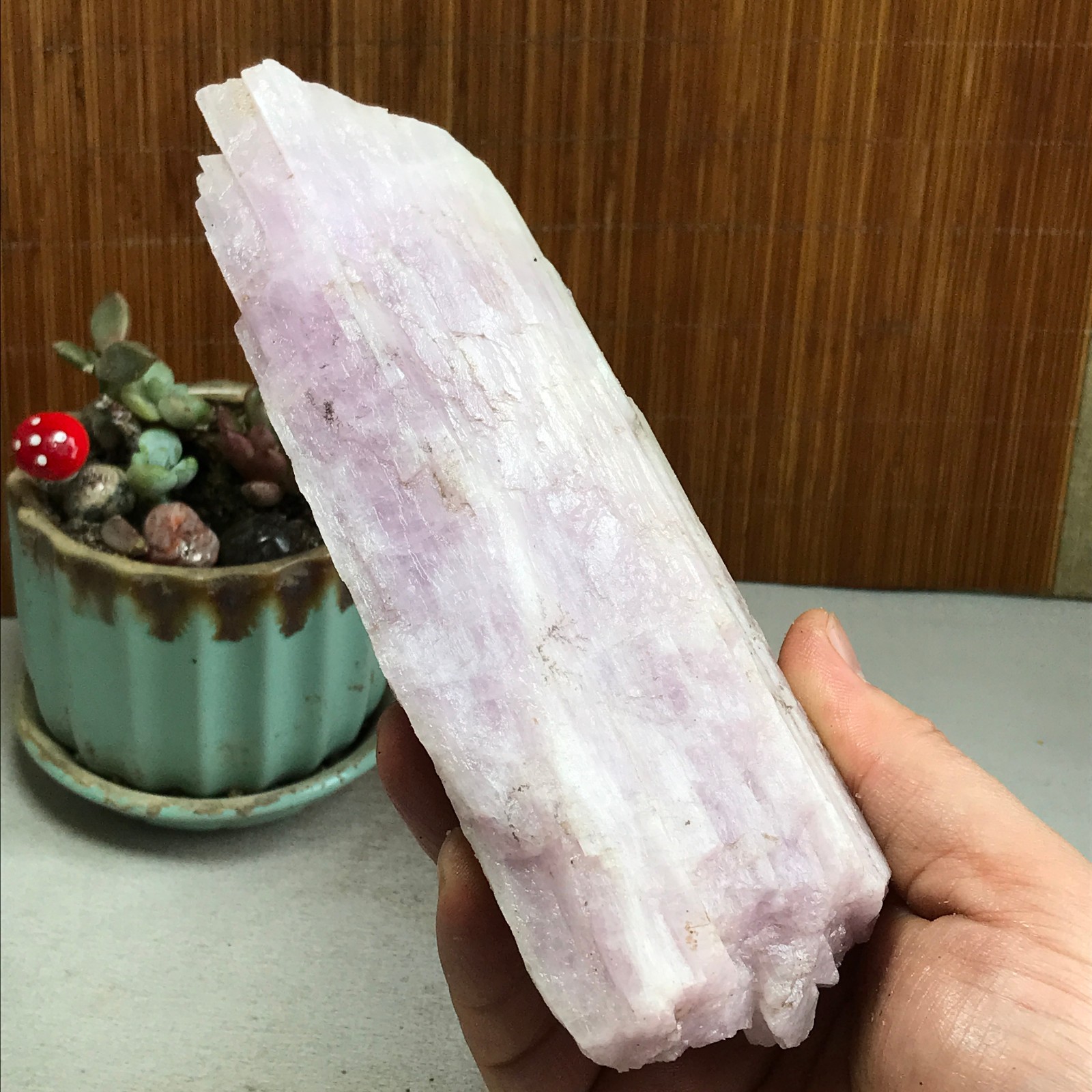 170-78-40mm NATURAL ROUGH KUNZITE PINK SPODUMENE CRYSTALS 830g A4613
