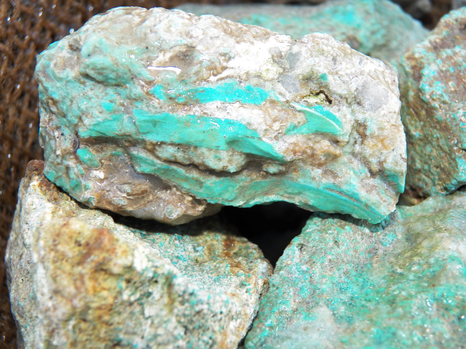 1000 Carat Lots of Natural Turquoise Rough (Not Stabilized) + a Free Gemstone