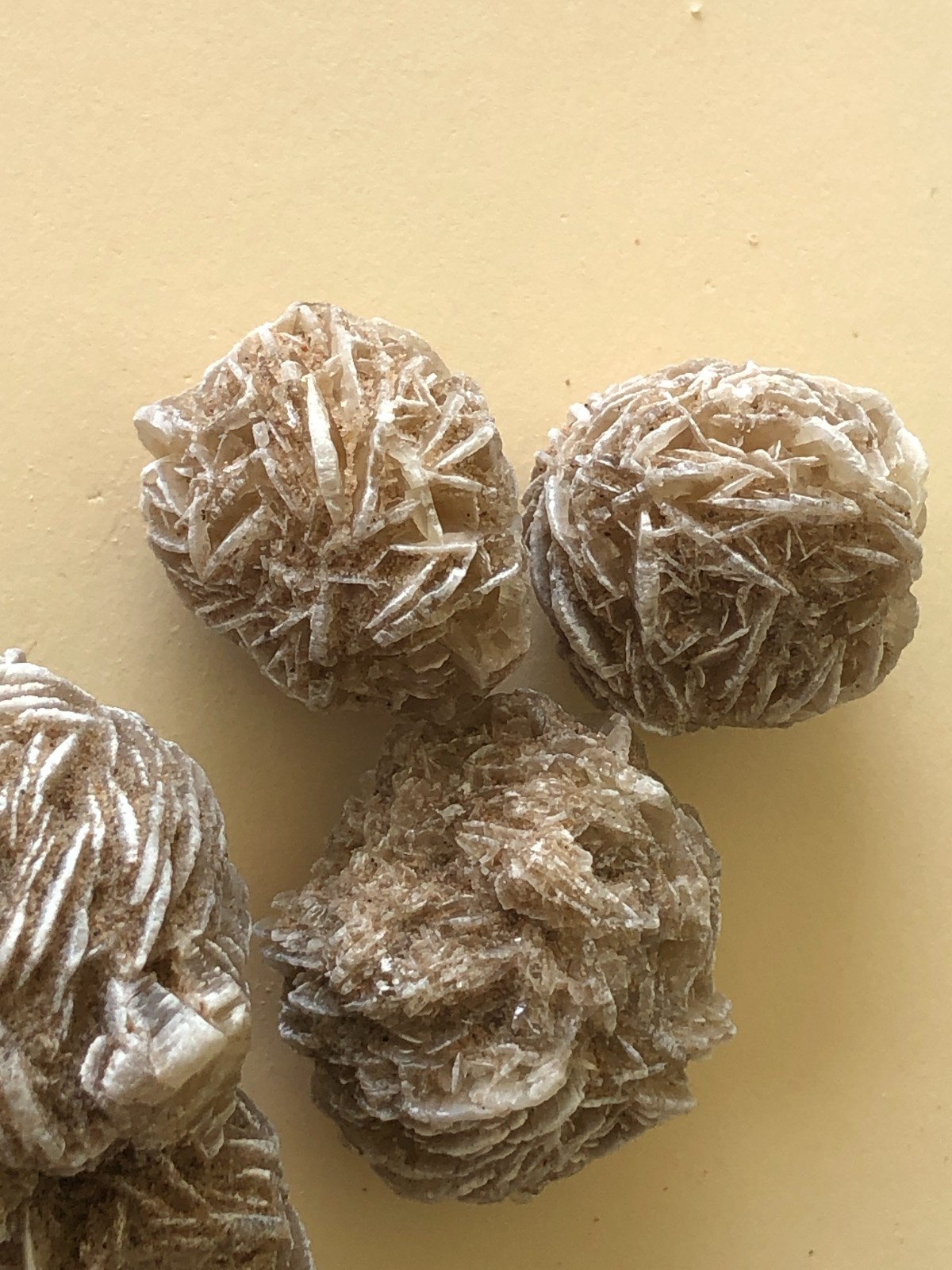 DESERT ROSE SELENITE GYPSUM Crystal Cluster Mineral Specimen 170.6 Grams For All