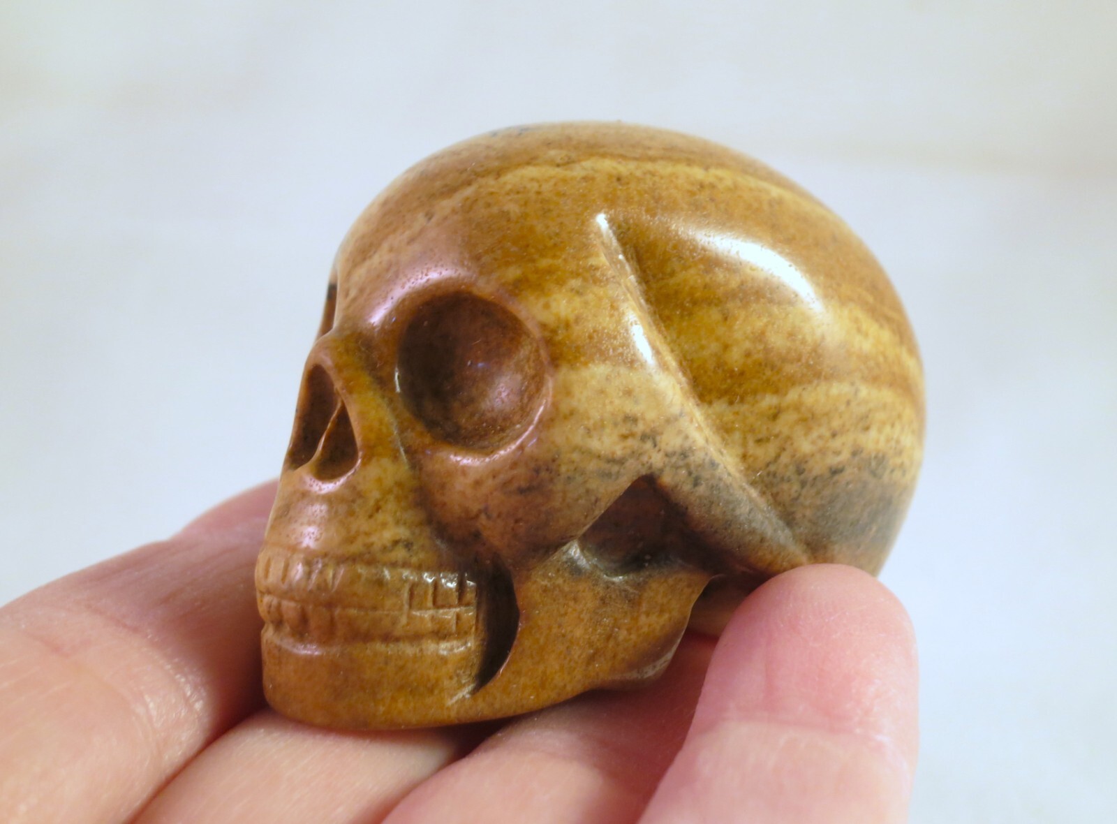 2″ PICTURE JASPER Carved and Polished SKULL