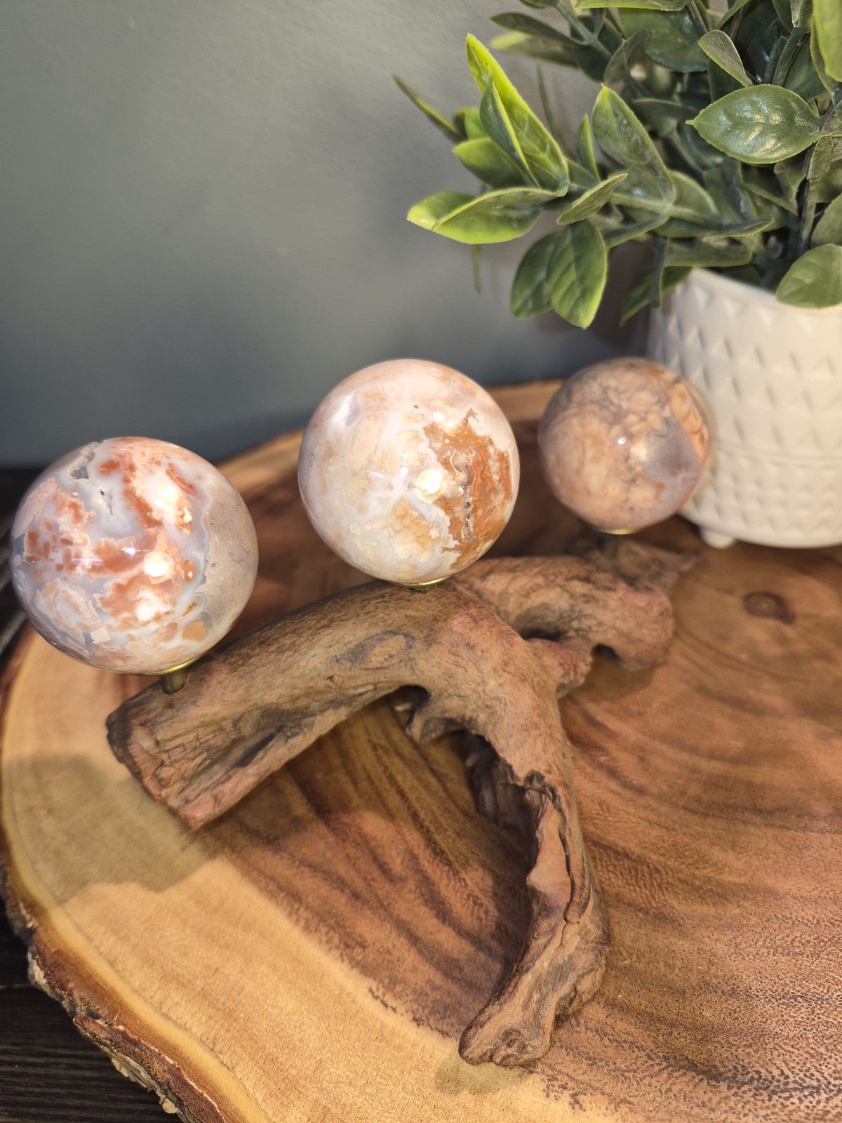 Drift Wood Stand Holds 3 Sm-Med Spheres